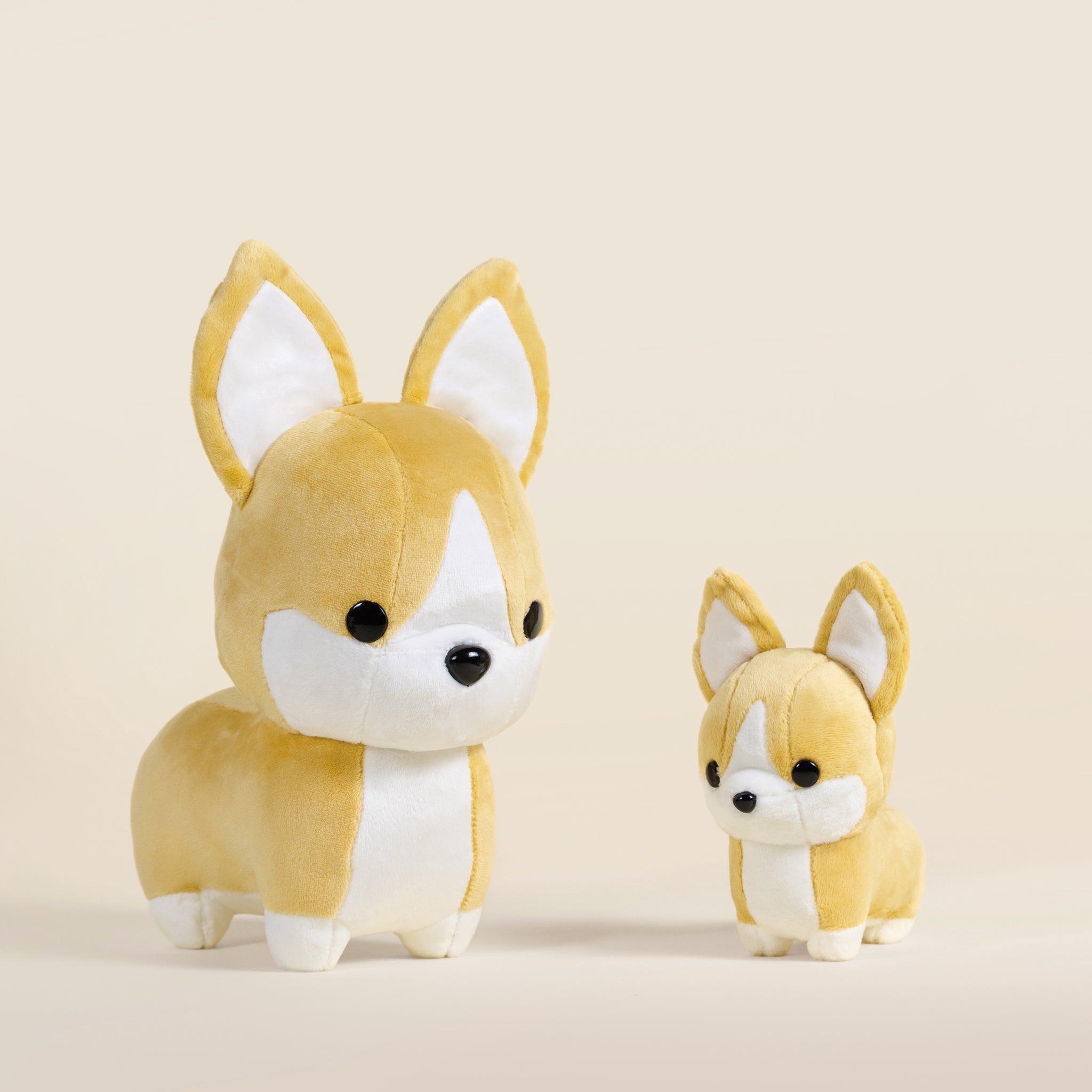 Corgi the Dog