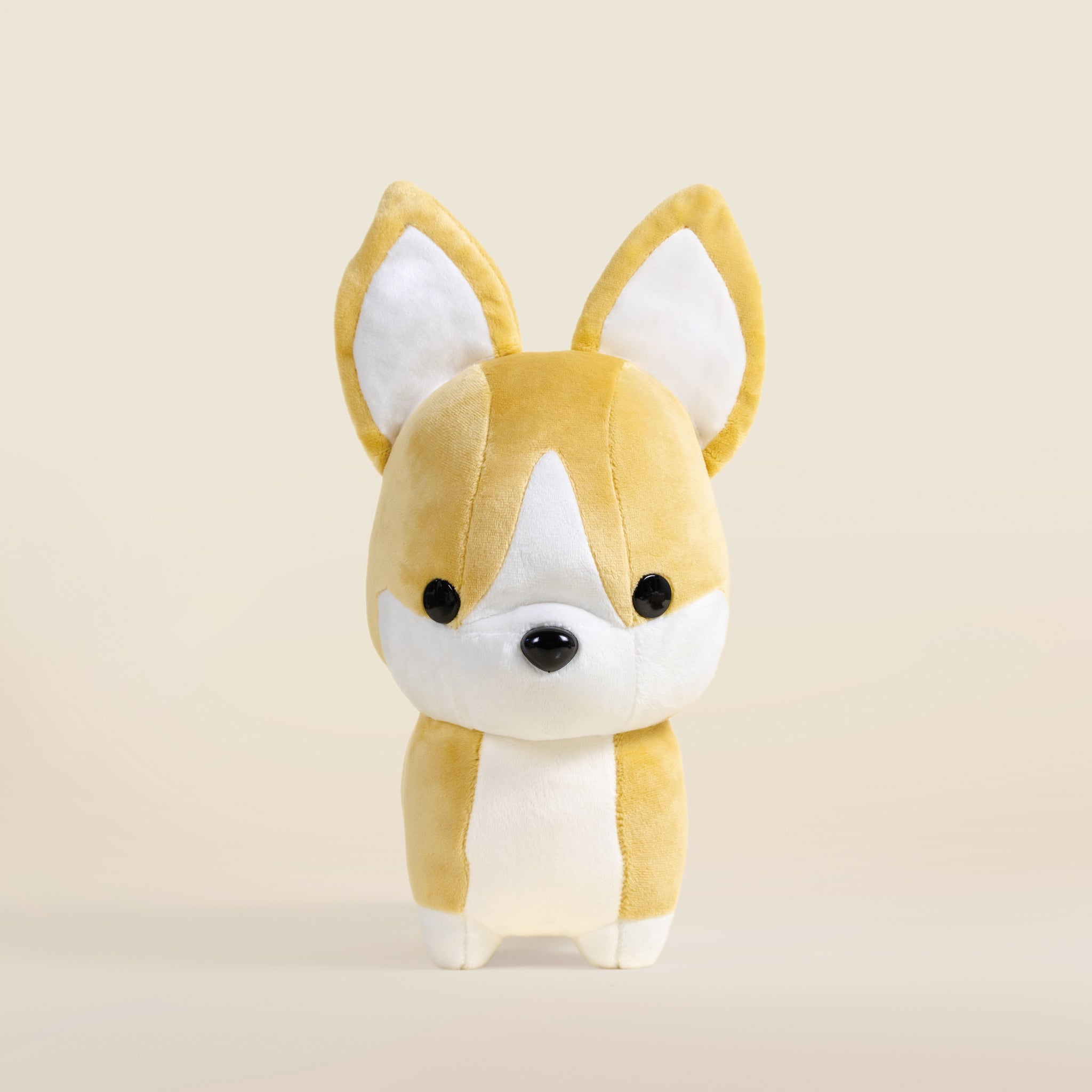 Corgi the Dog