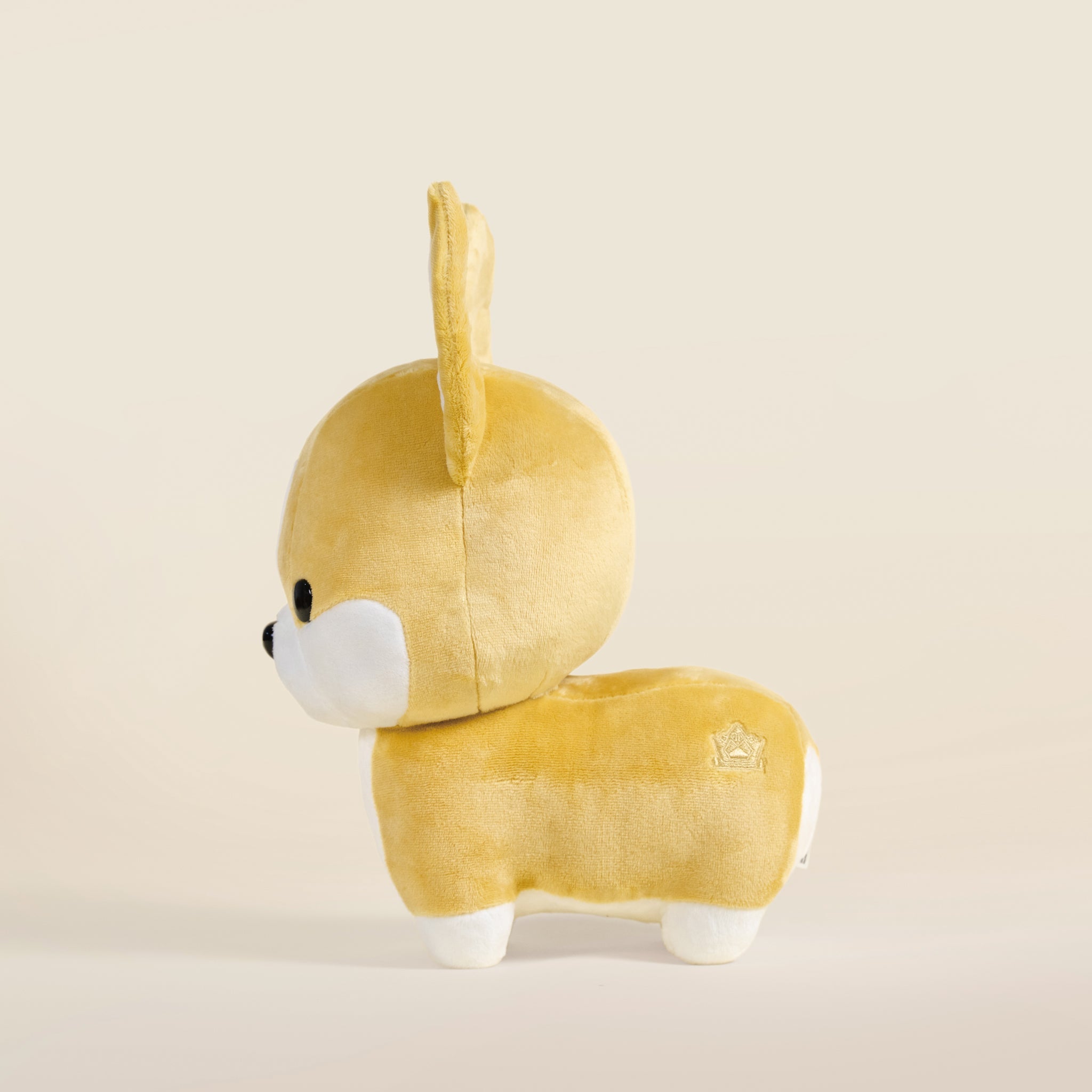 Corgi the Dog