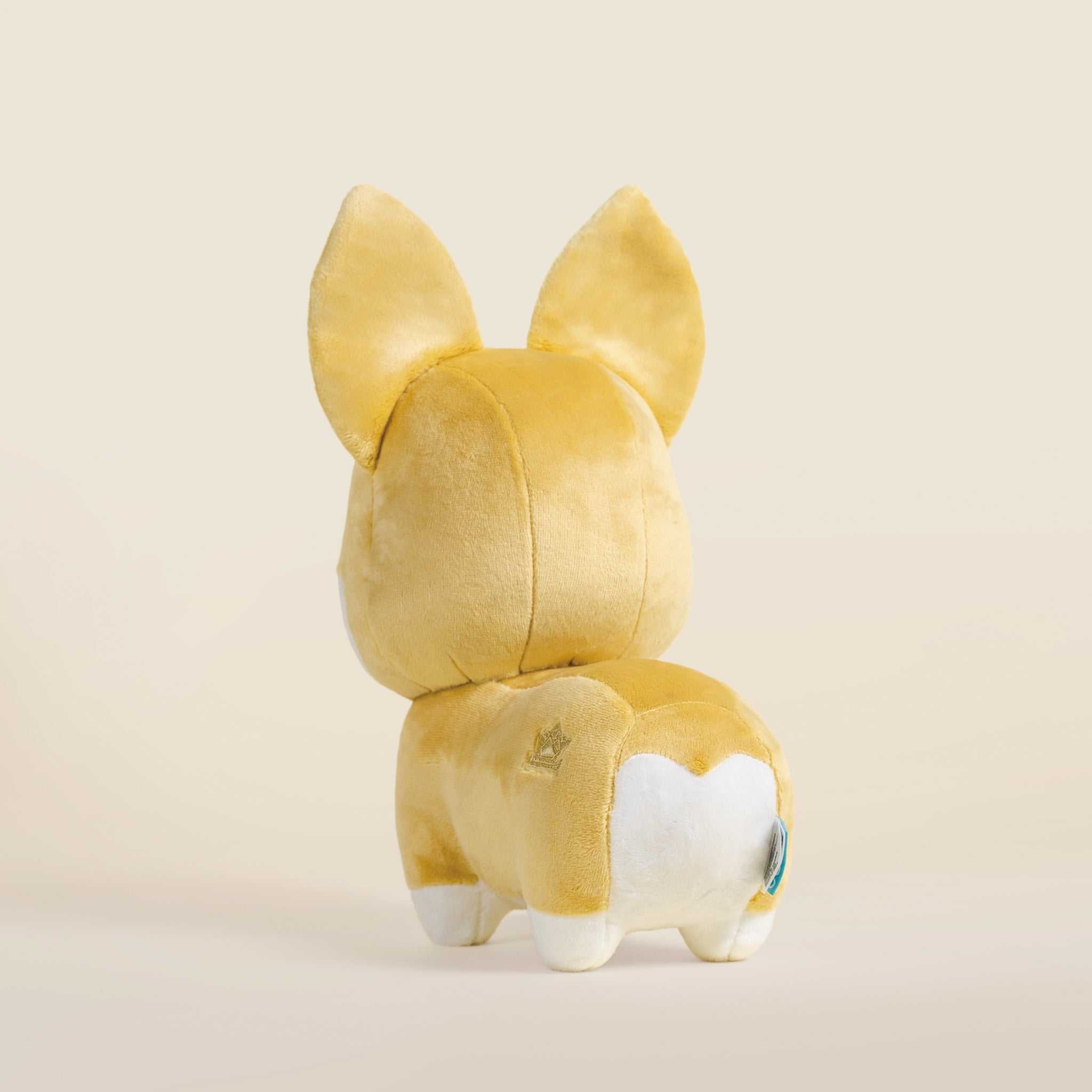 Corgi the Dog