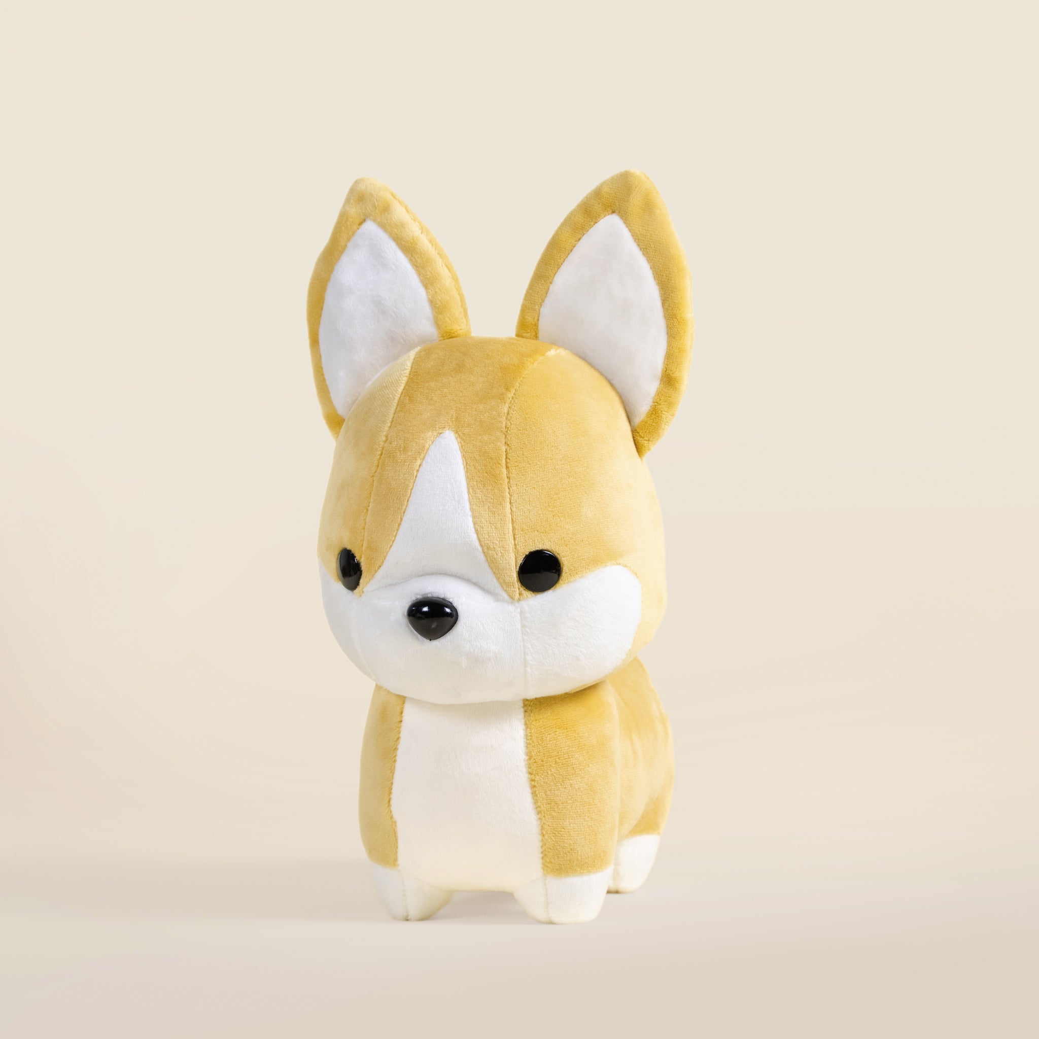 Corgi the Dog