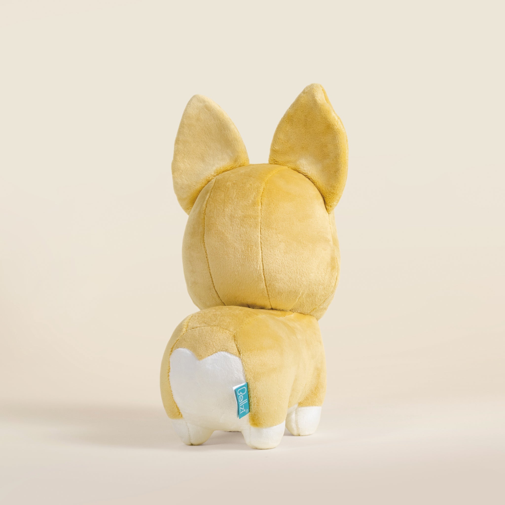 Corgi the Dog