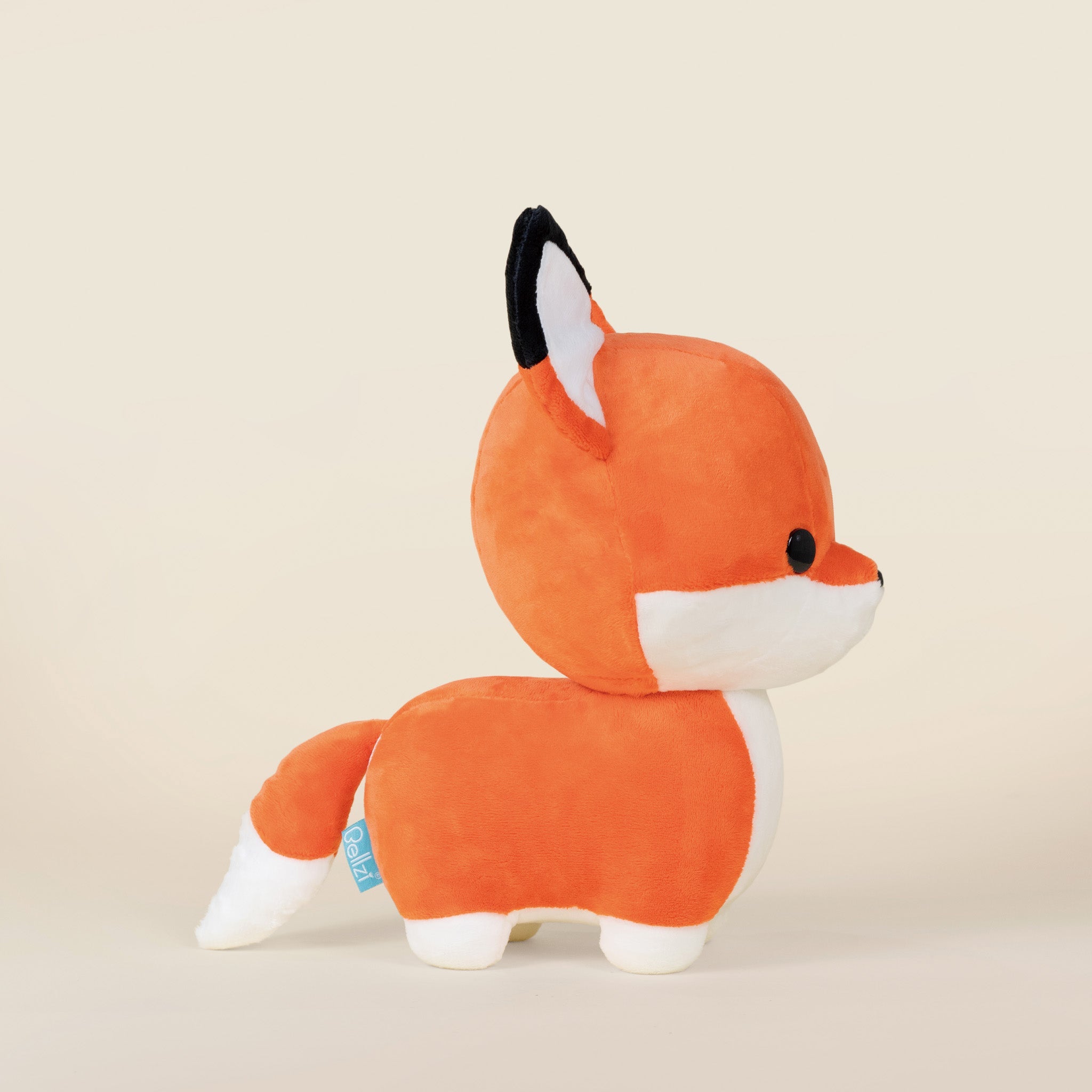 Foxxi the Fox