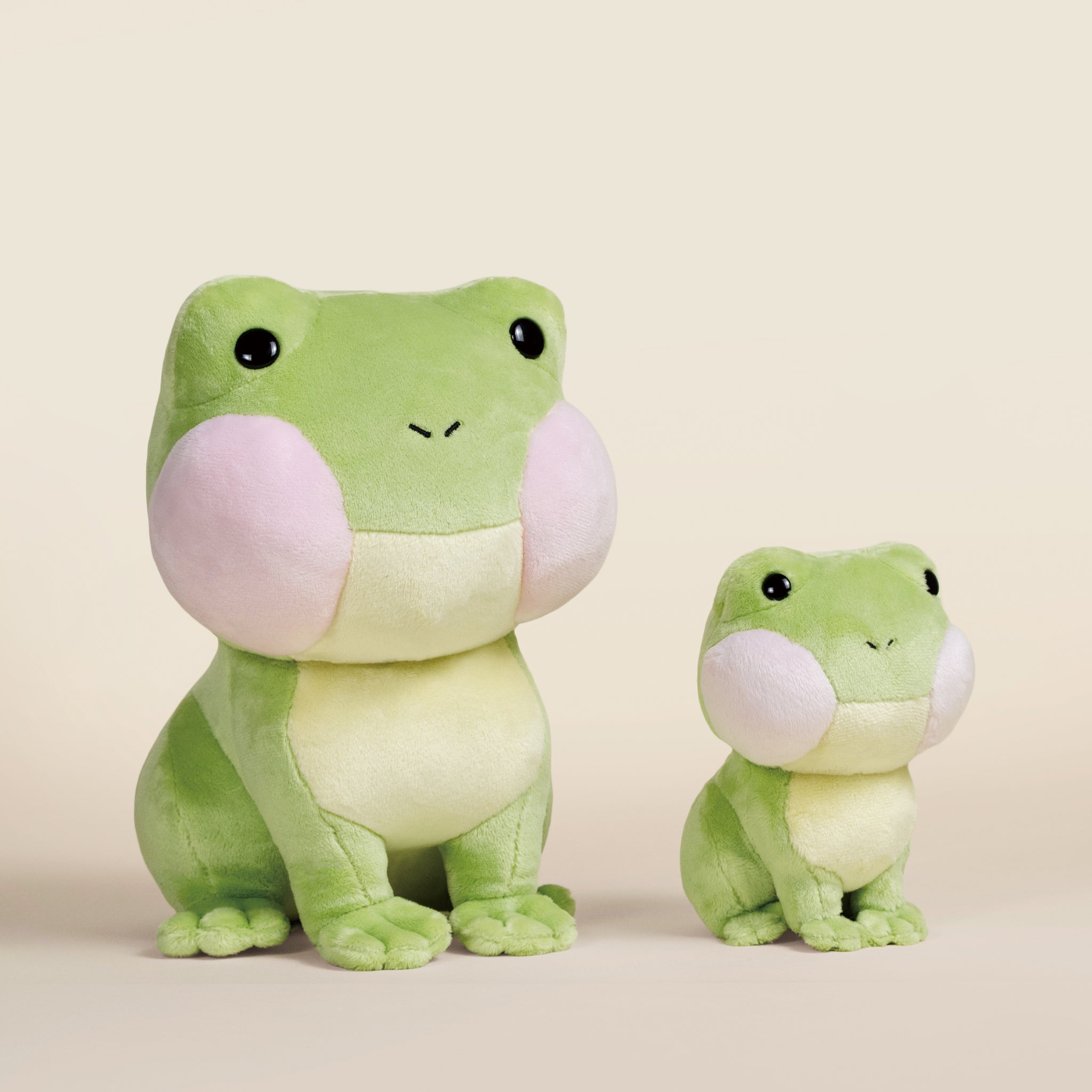 Mini Froggi the Frog