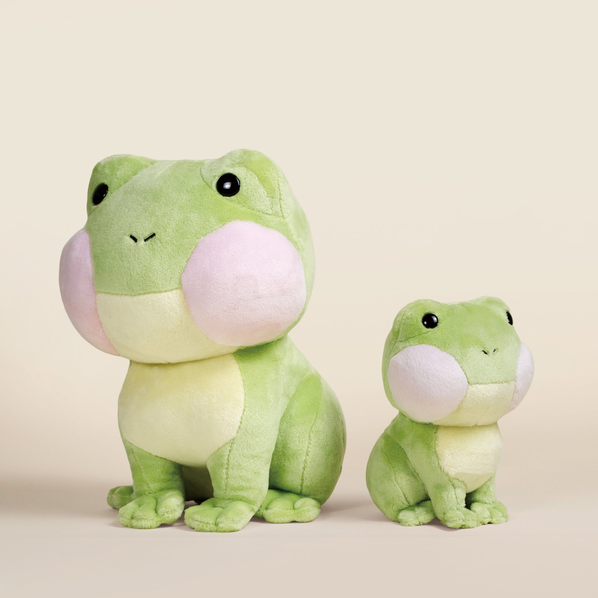 Mini Froggi the Frog