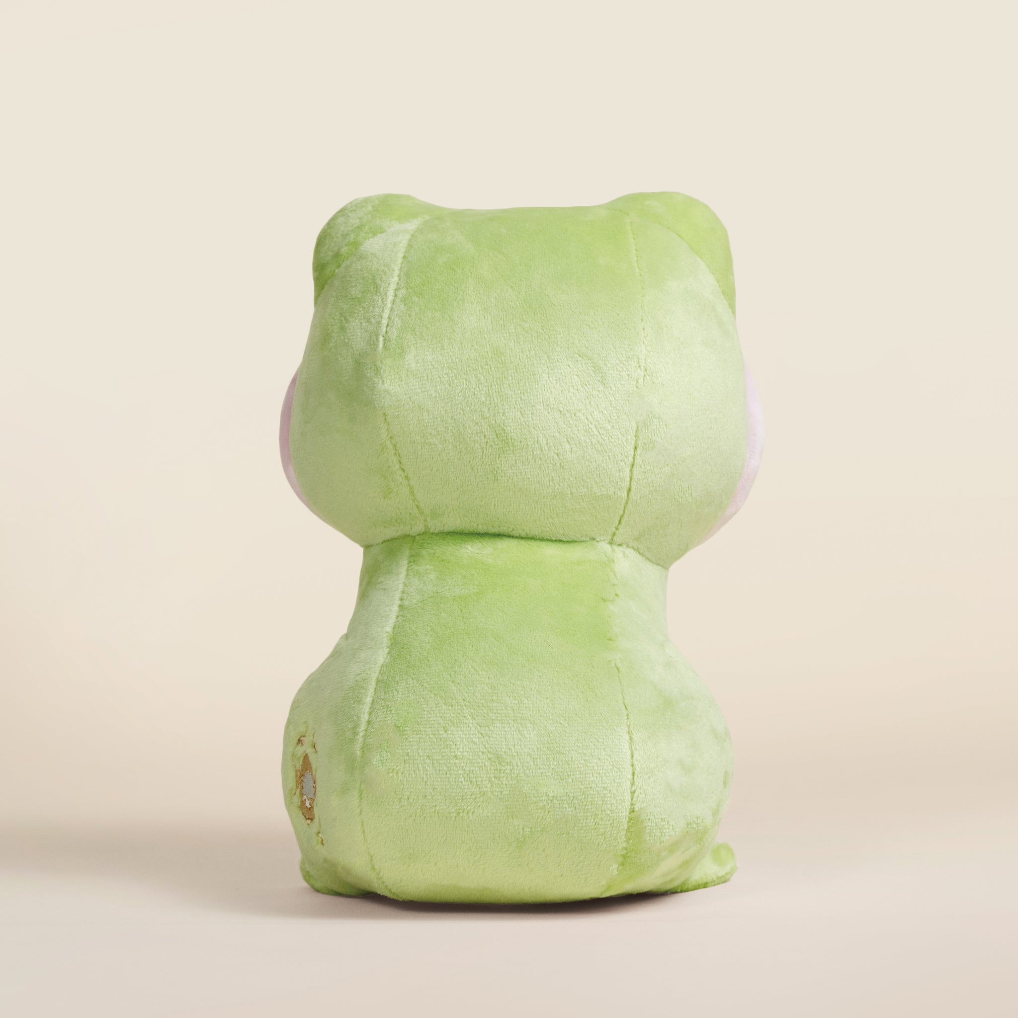 Froggi the Frog