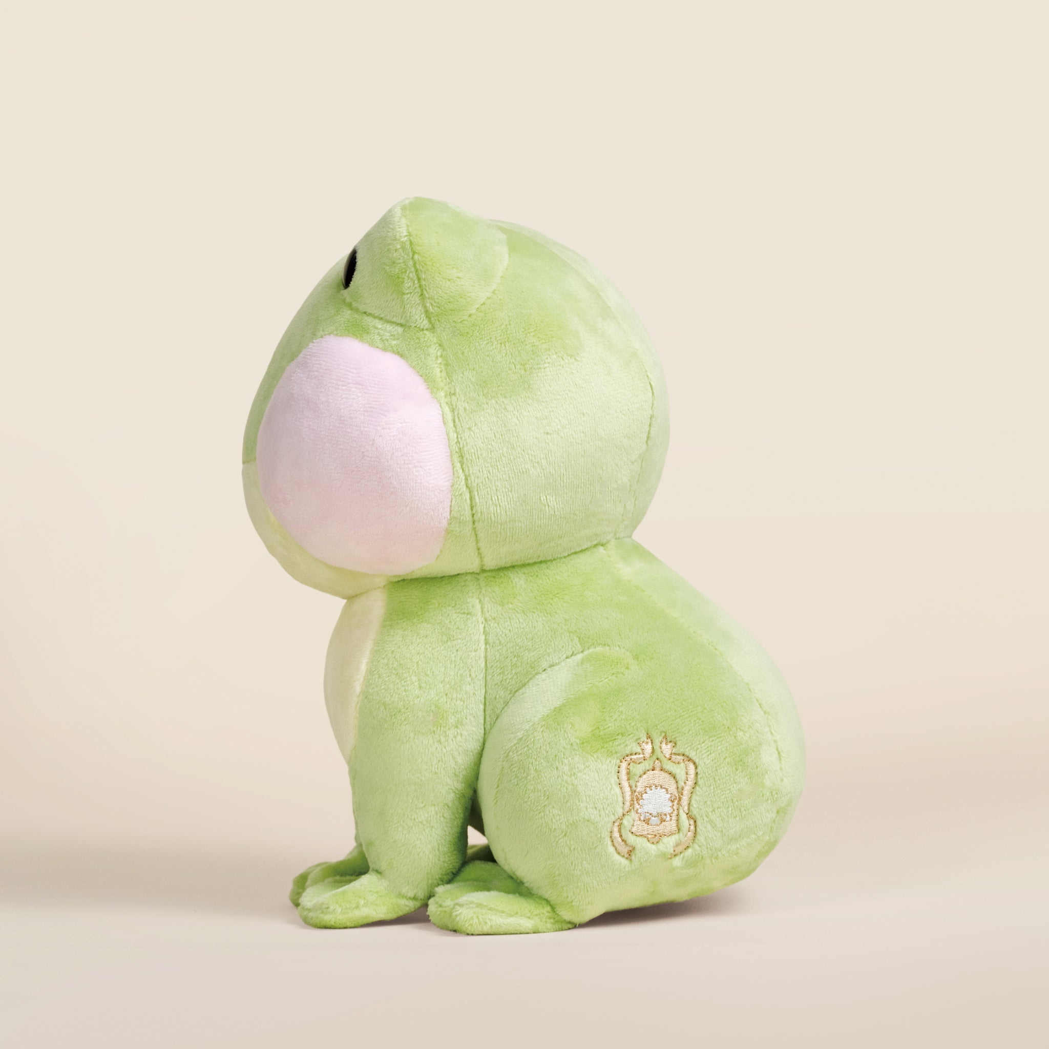 Froggi the Frog