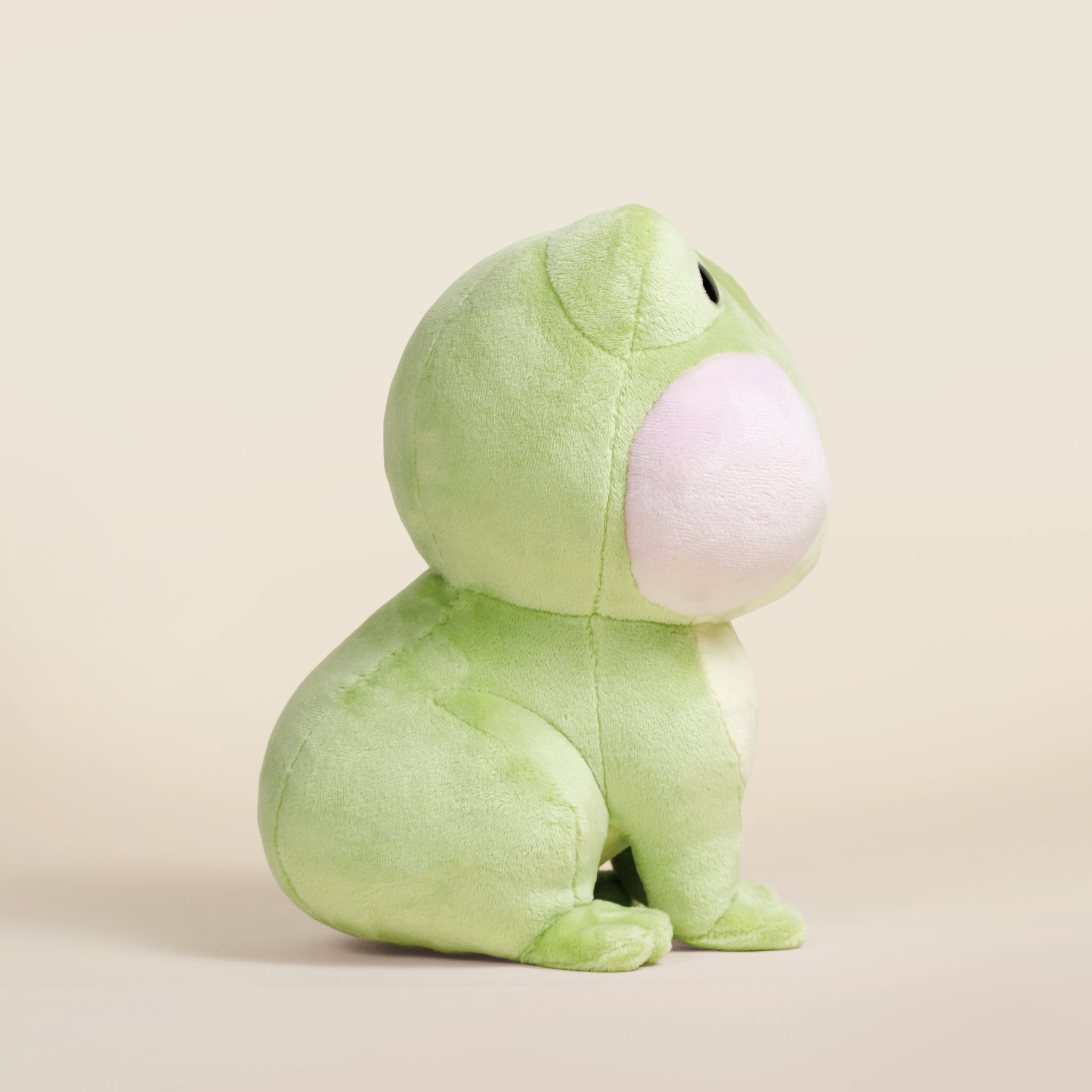 Froggi the Frog