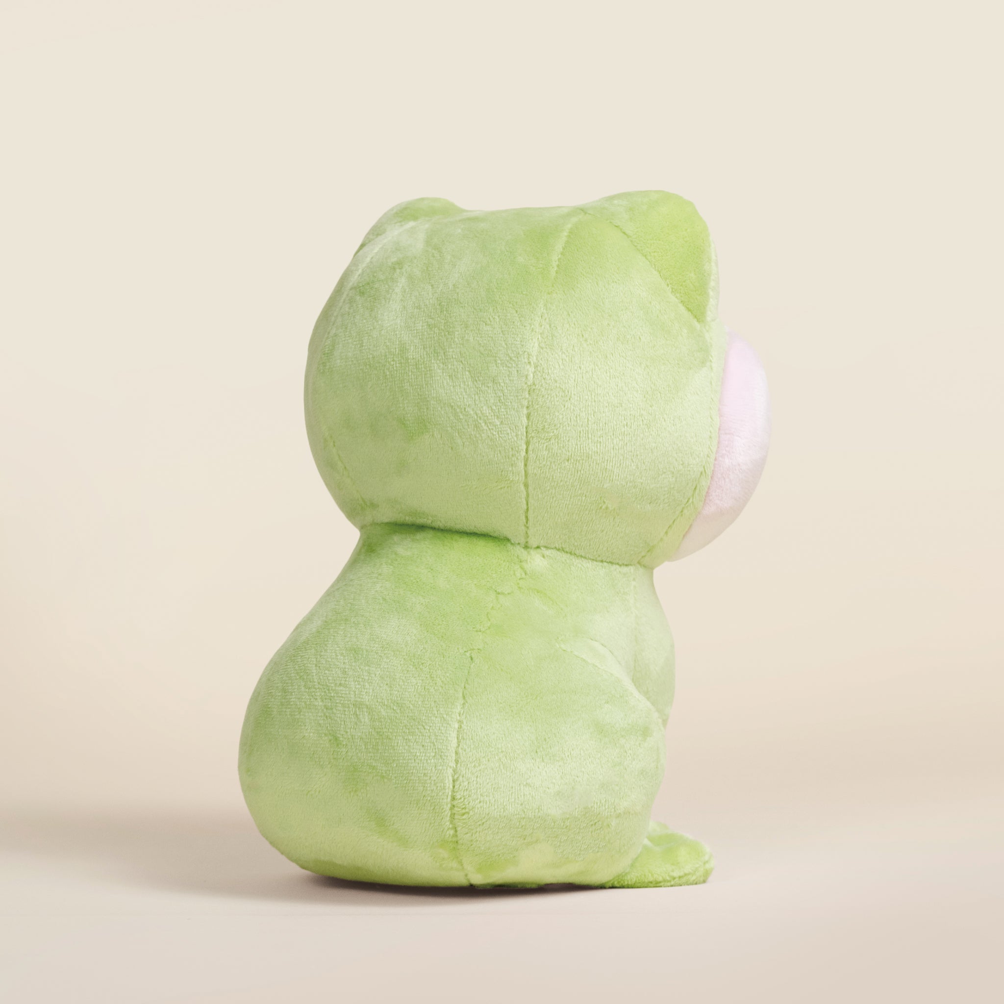 Froggi the Frog