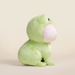 Froggi the Frog