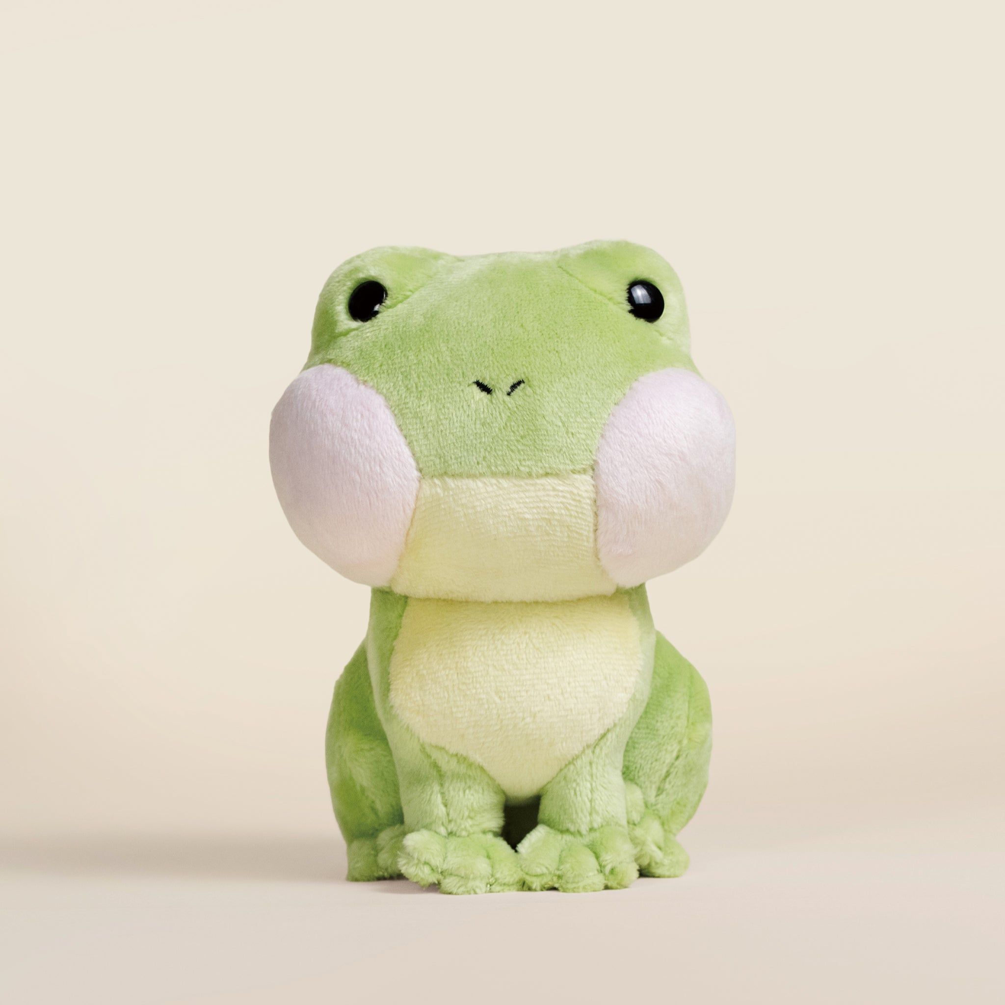 Mini Froggi the Frog