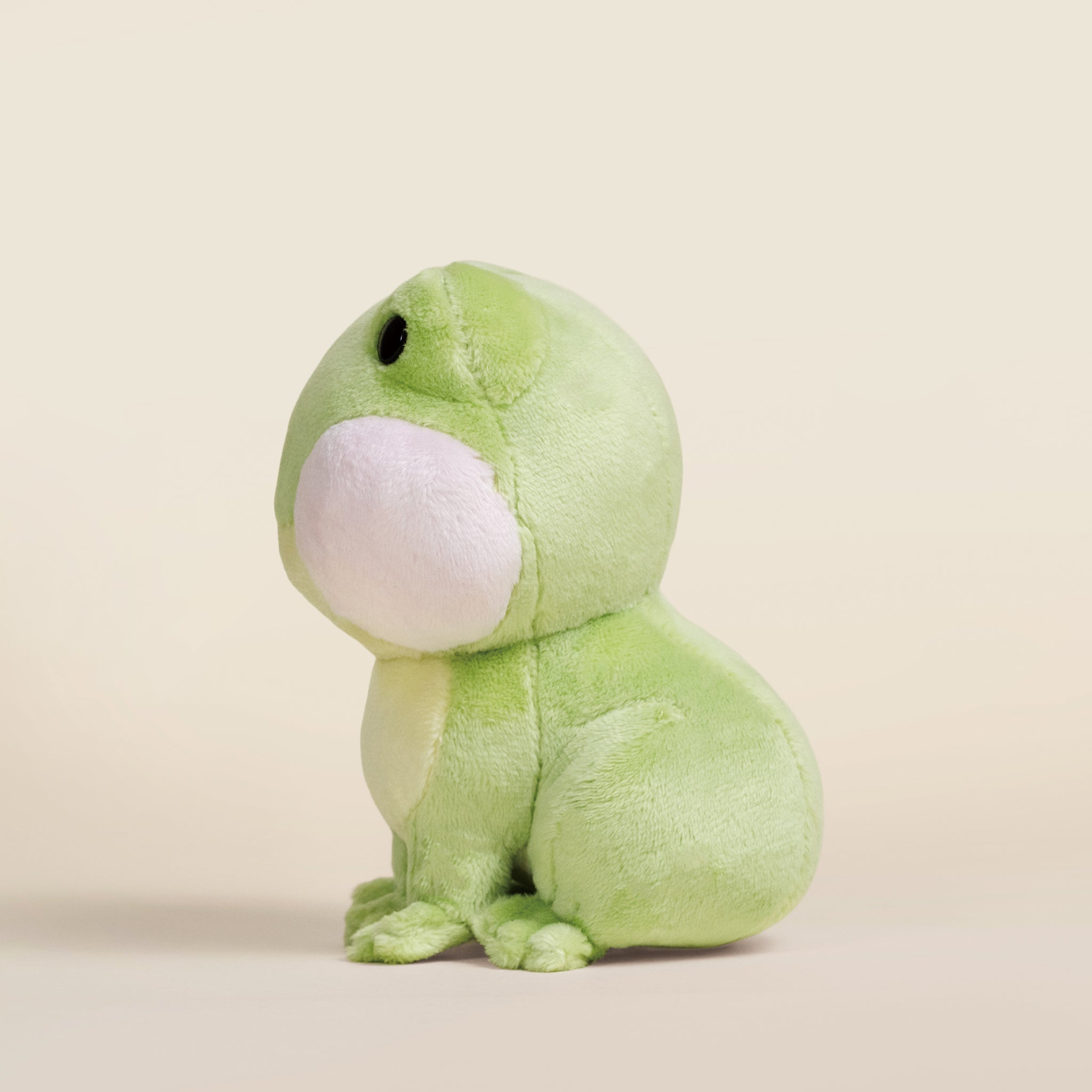 Mini Froggi the Frog