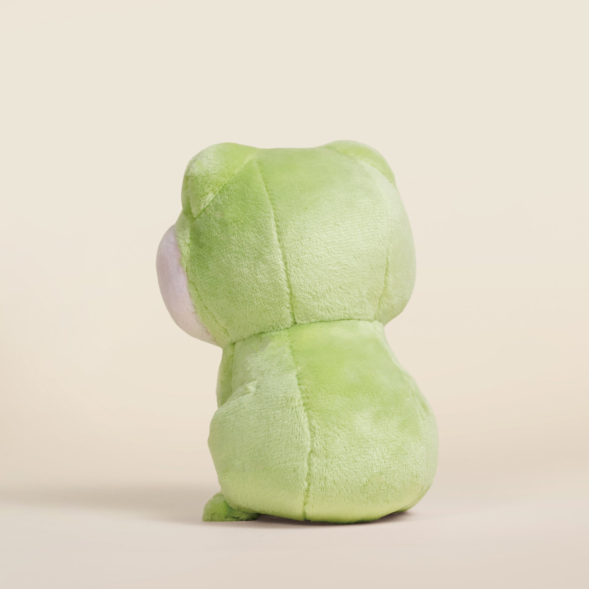 Mini Froggi the Frog