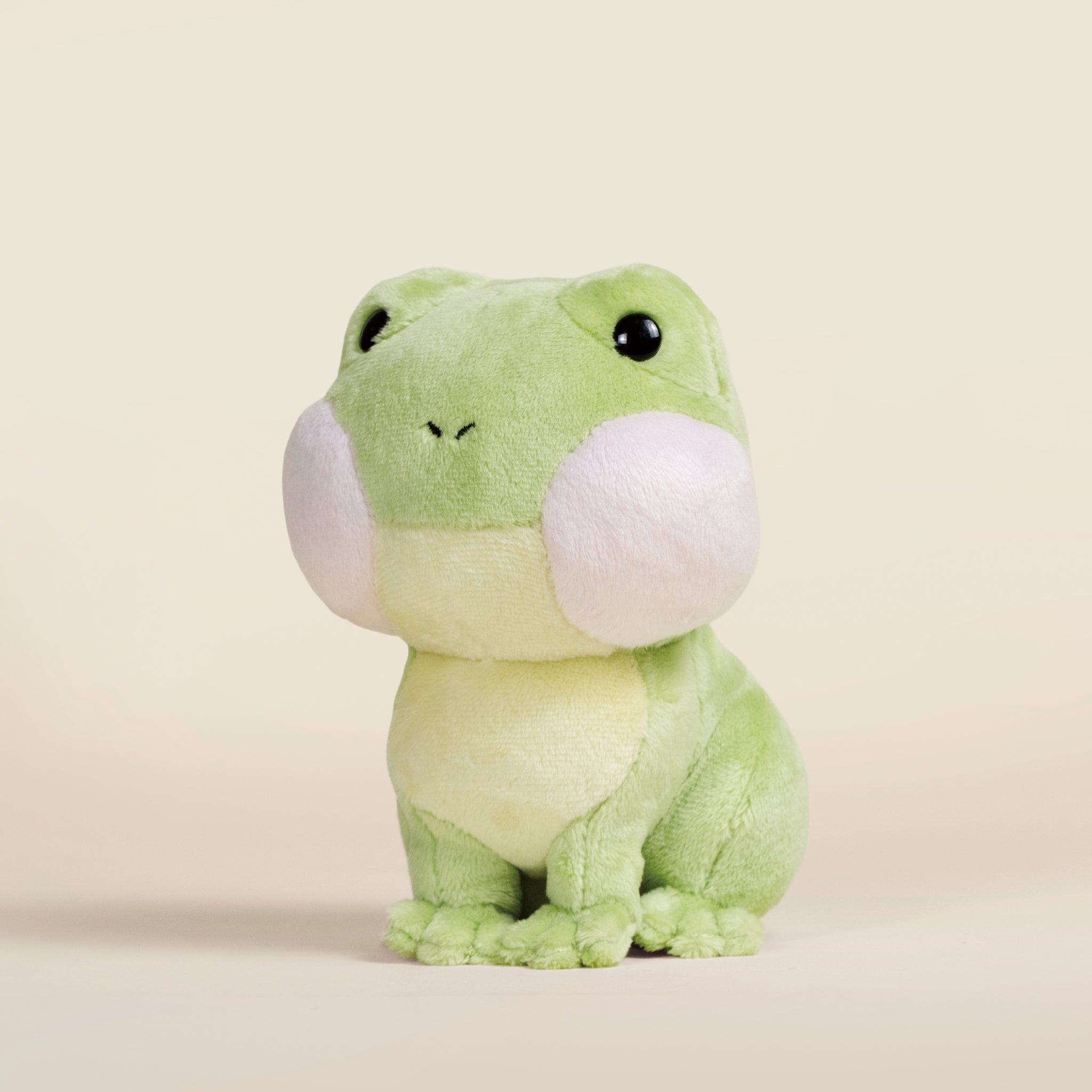 Mini Froggi the Frog
