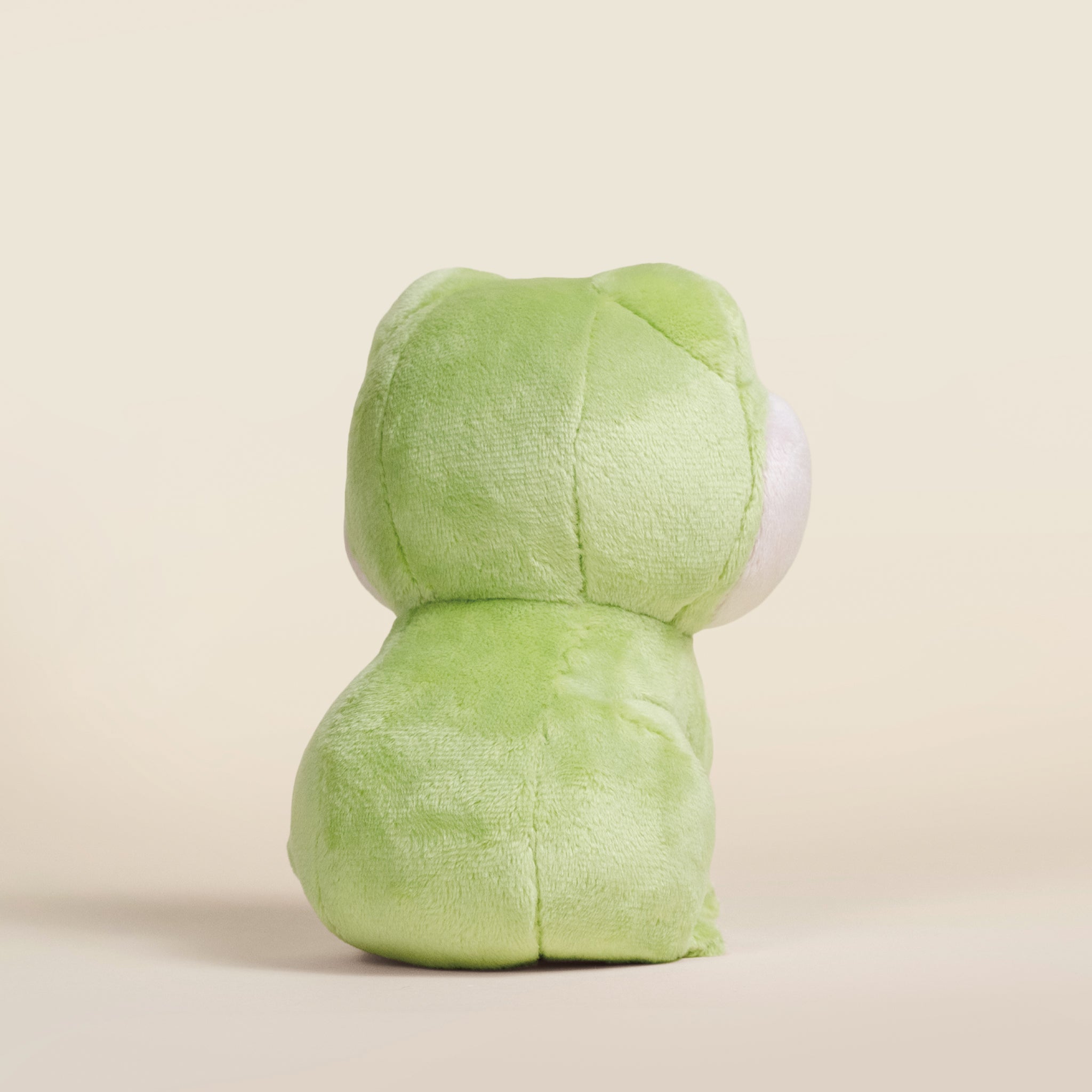 Mini Froggi the Frog