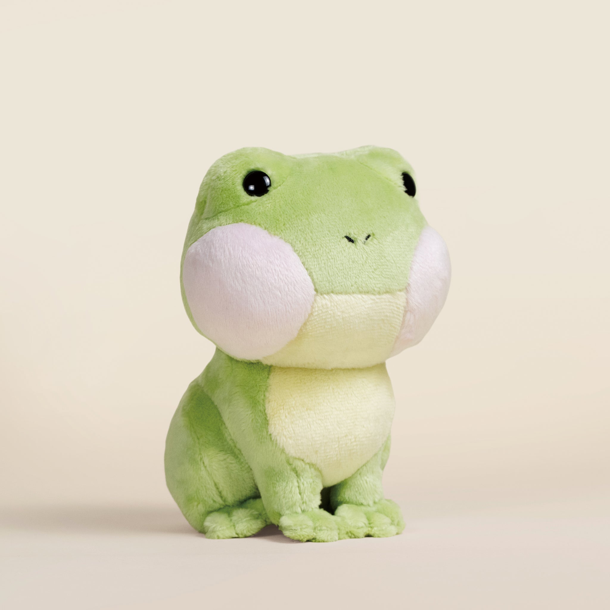 Mini Froggi the Frog