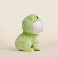 Mini Froggi the Frog