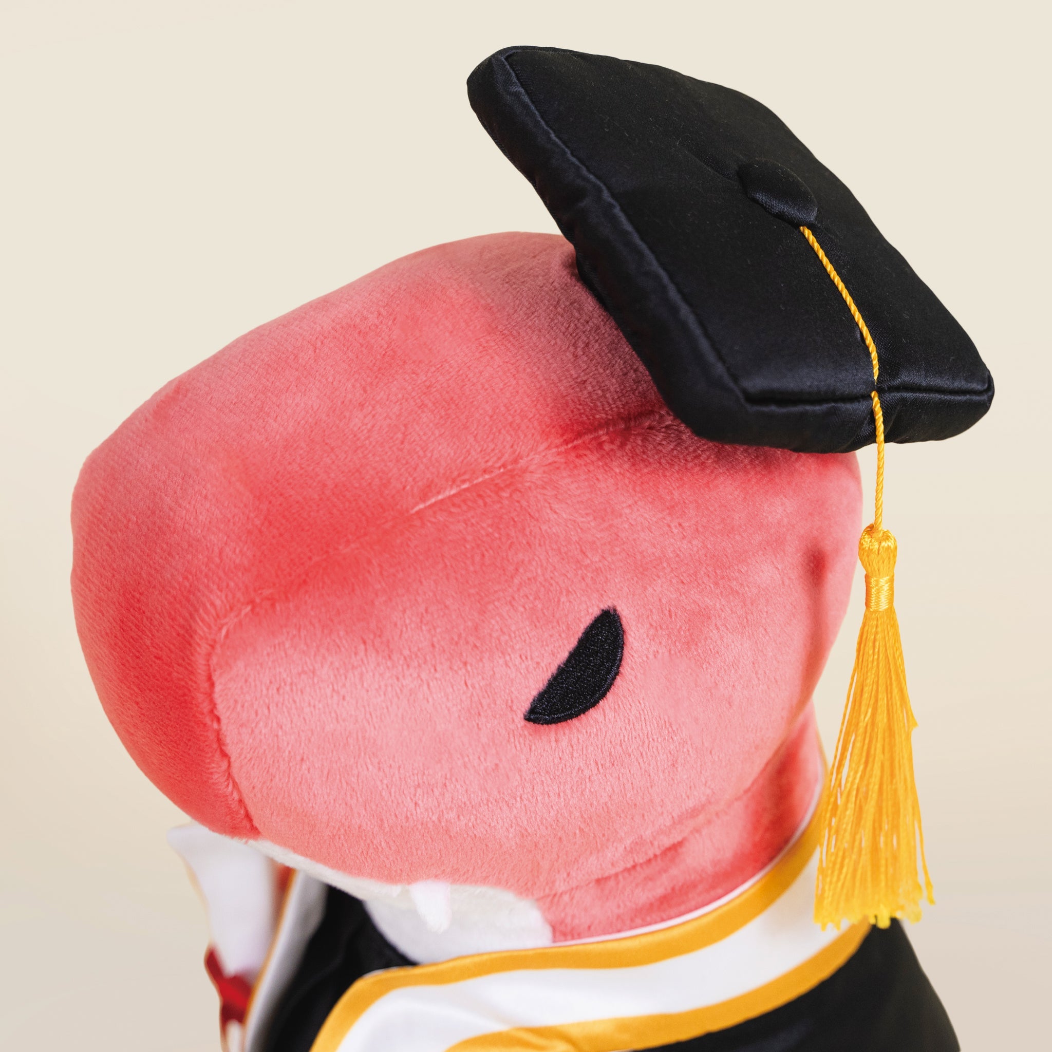 Graduation Rexxi