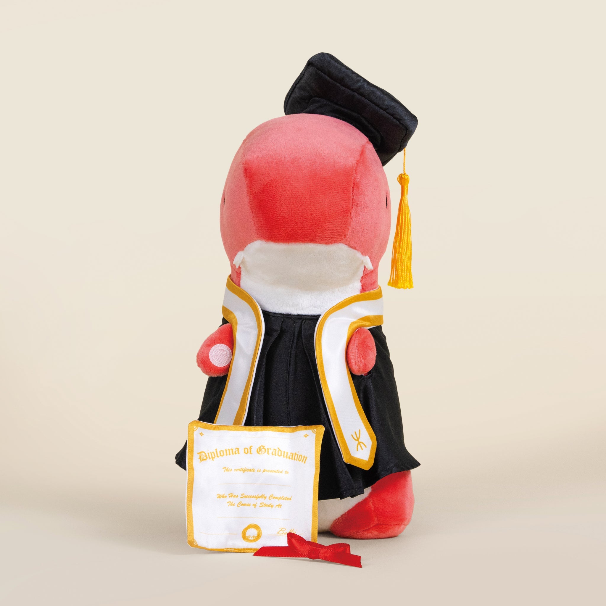 Graduation Rexxi