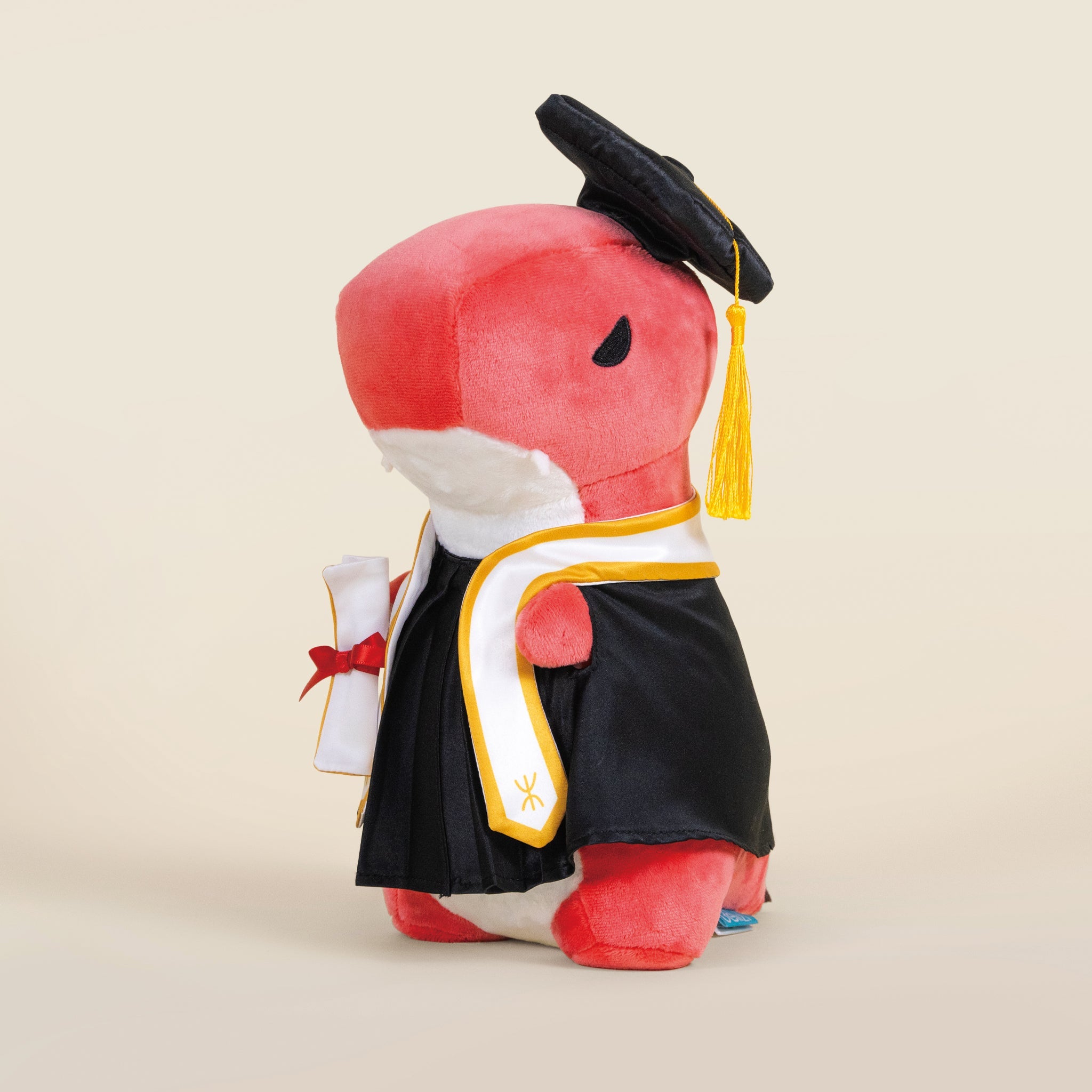 Graduation Rexxi