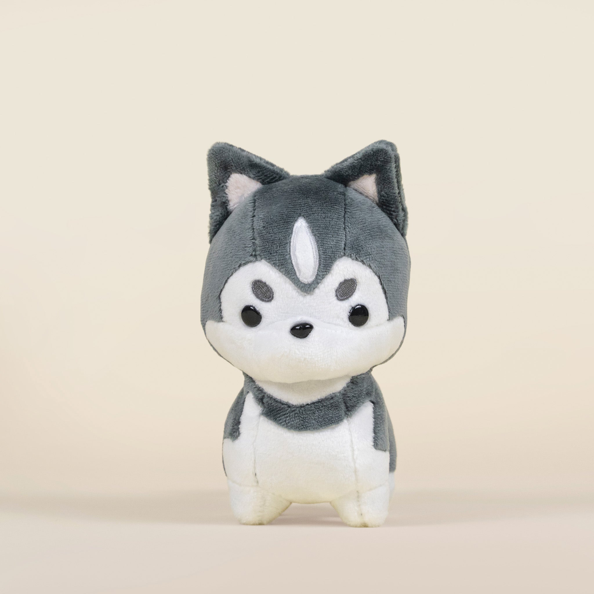 Mini Huski the Siberian Husky
