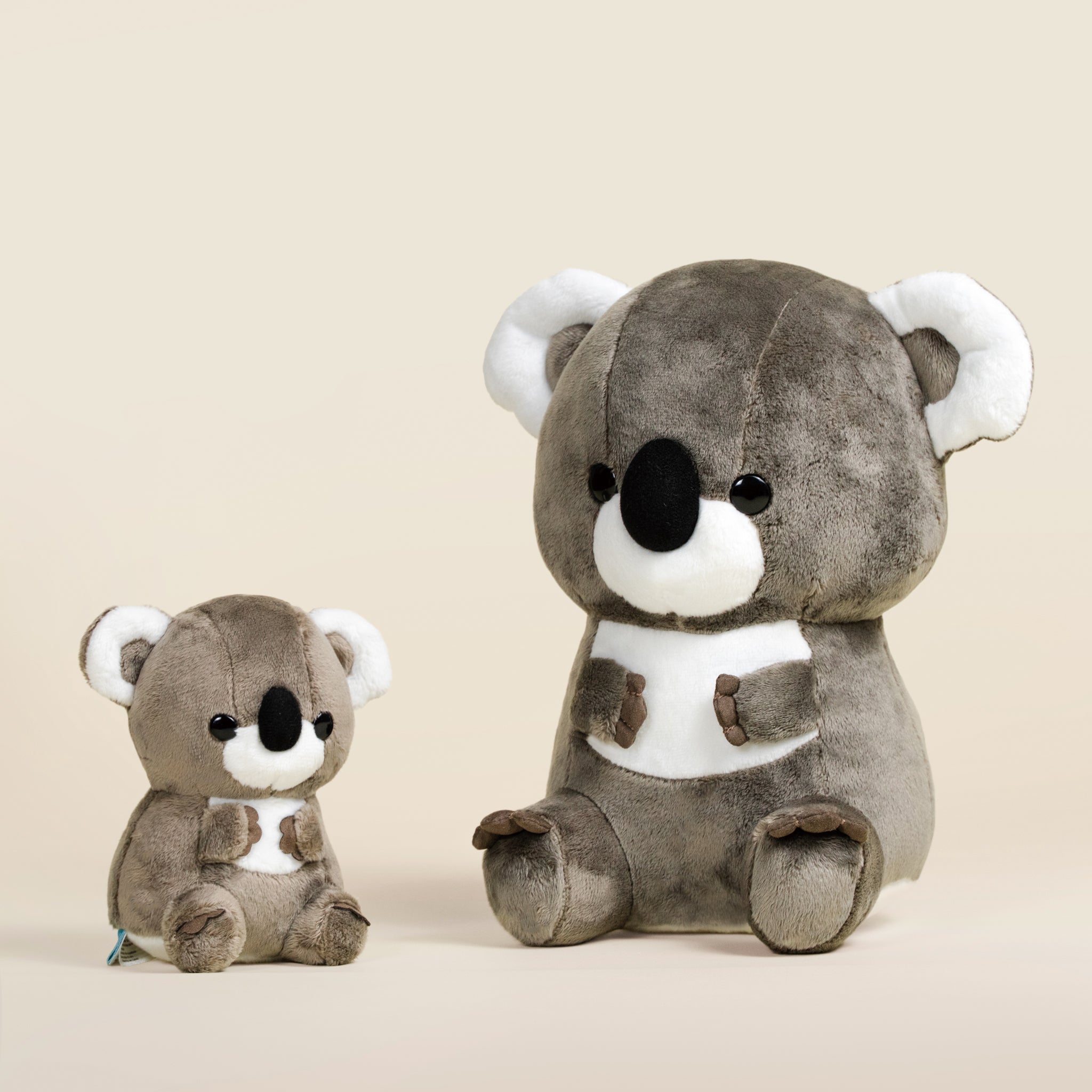 Koali the Koala