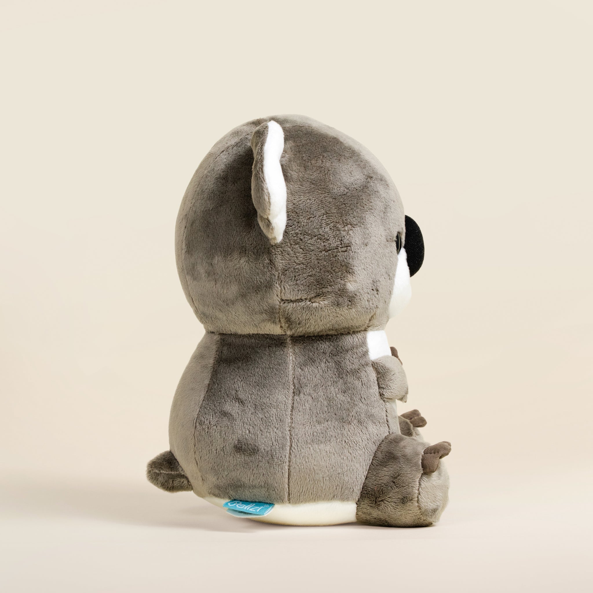 Koali the Koala