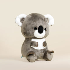 Koali the Koala