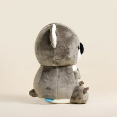 Koali the Koala