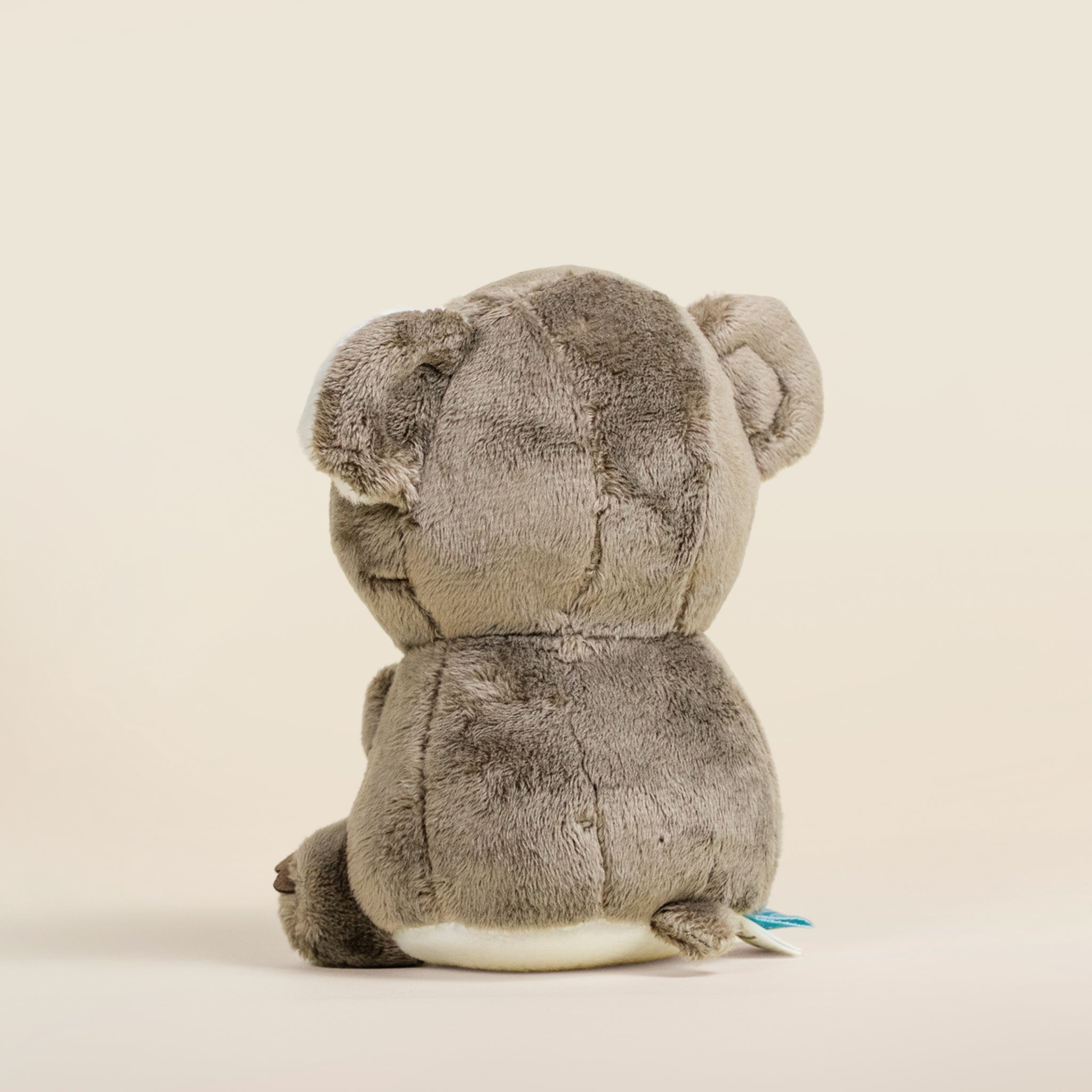 Mini Koali the Koala