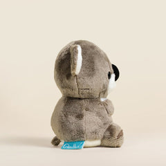 Mini Koali the Koala