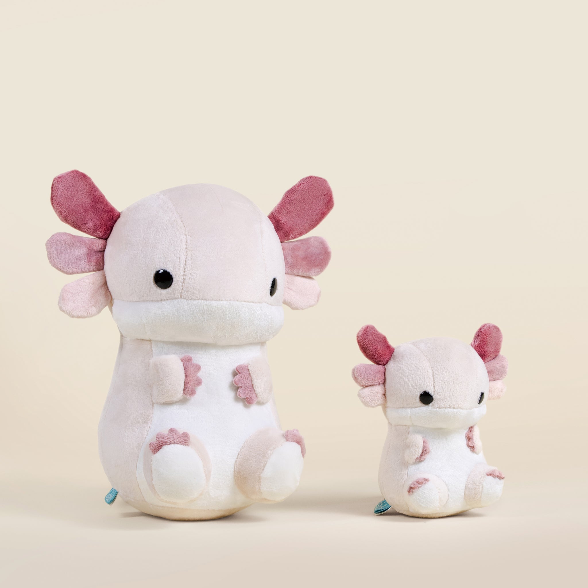 Lotti the Axolotl