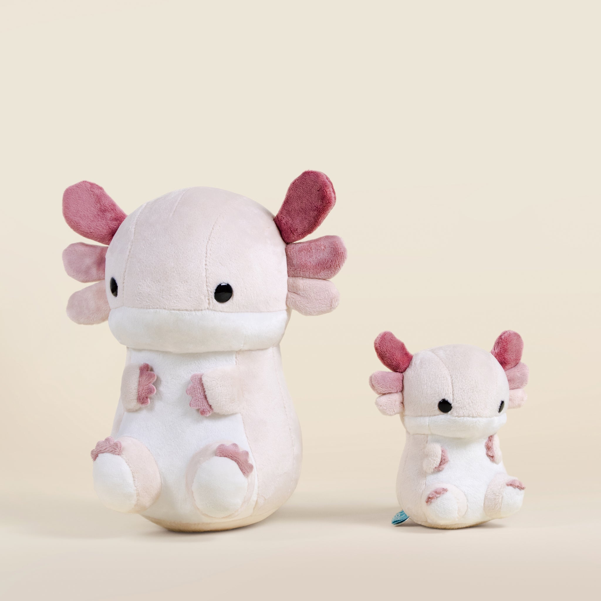 Lotti the Axolotl