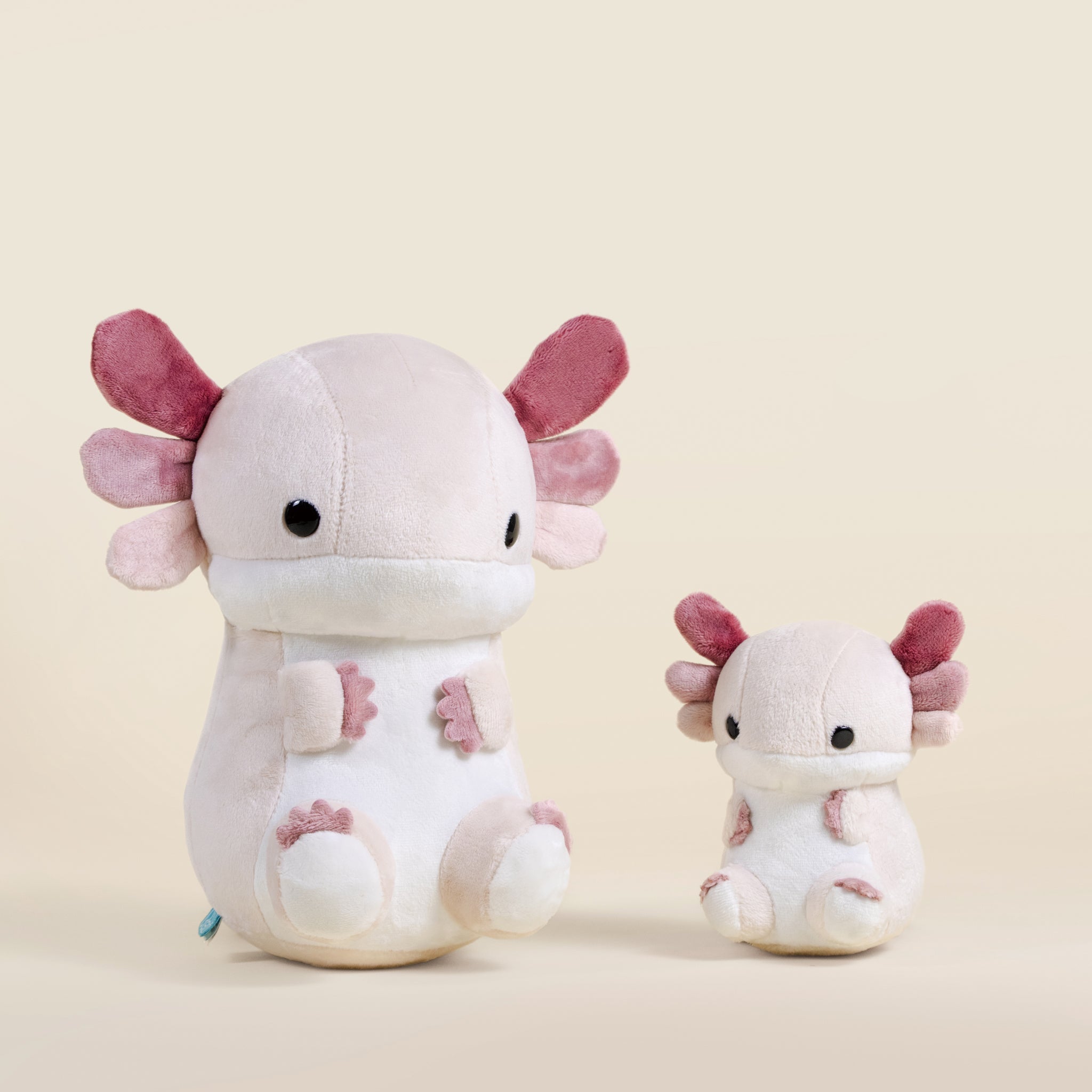 Lotti the Axolotl