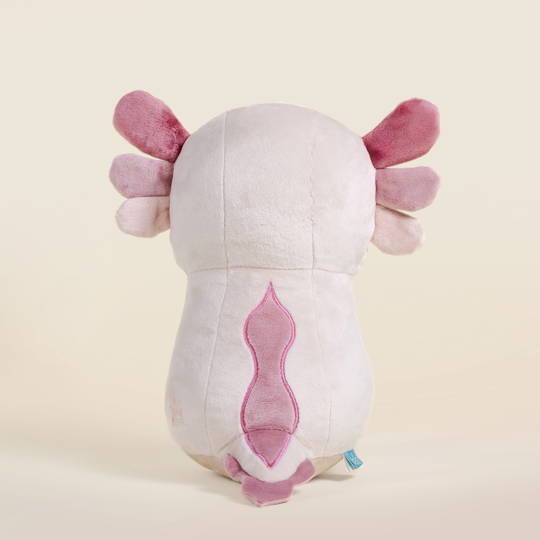 Lotti the Axolotl