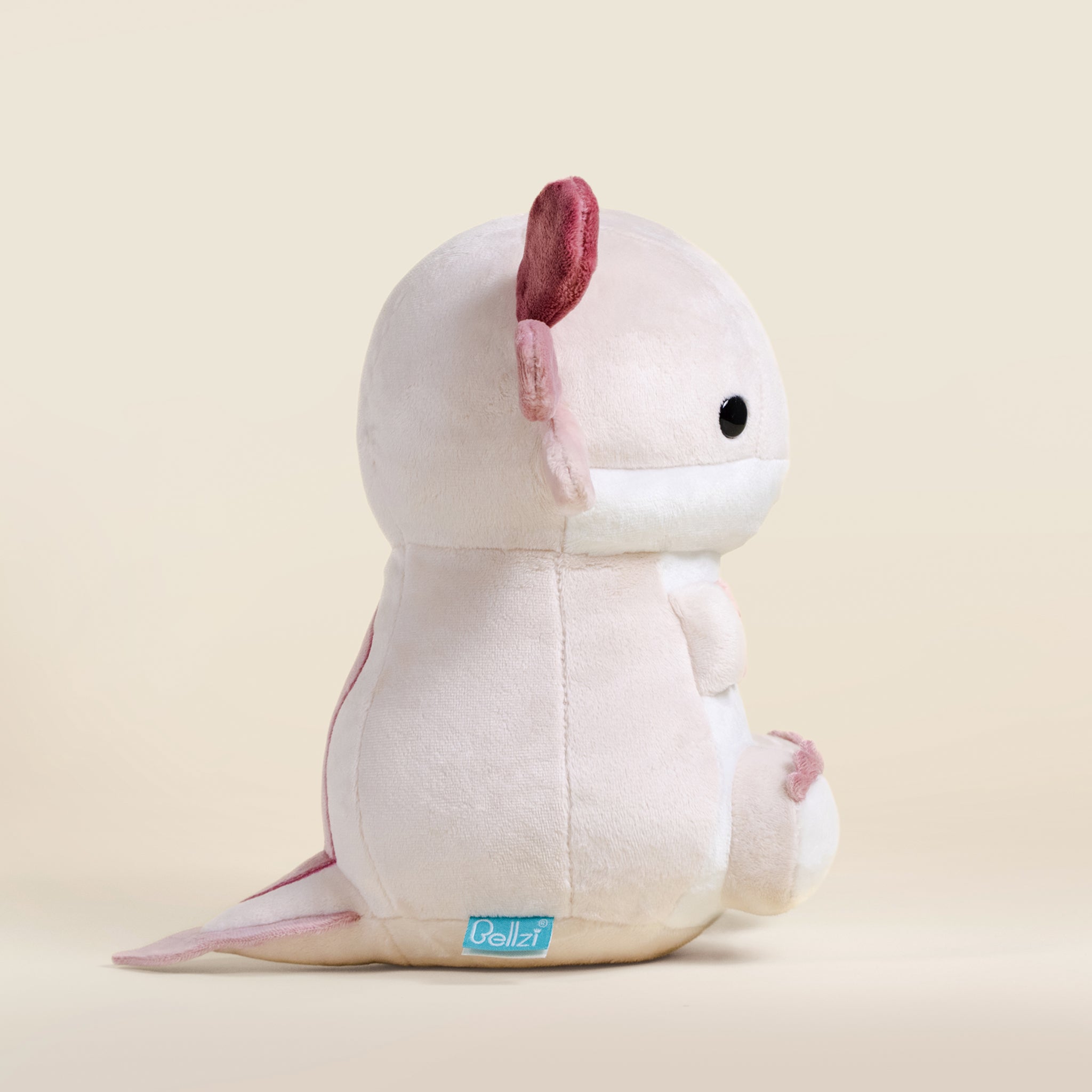 Lotti the Axolotl