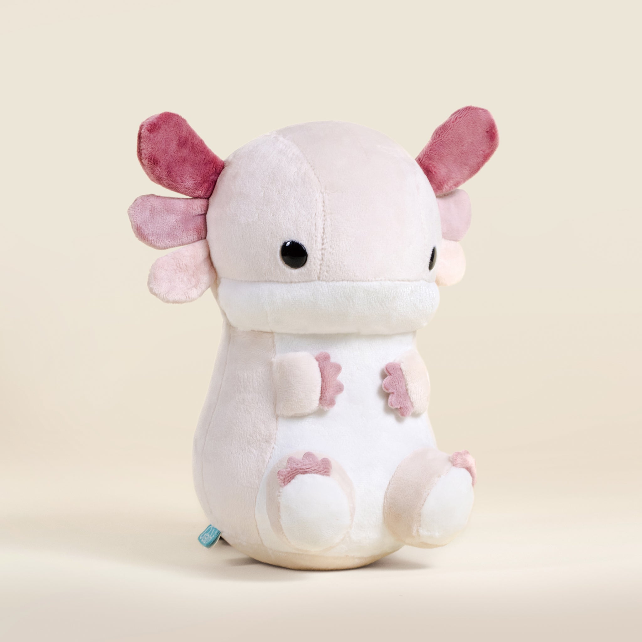 Lotti the Axolotl