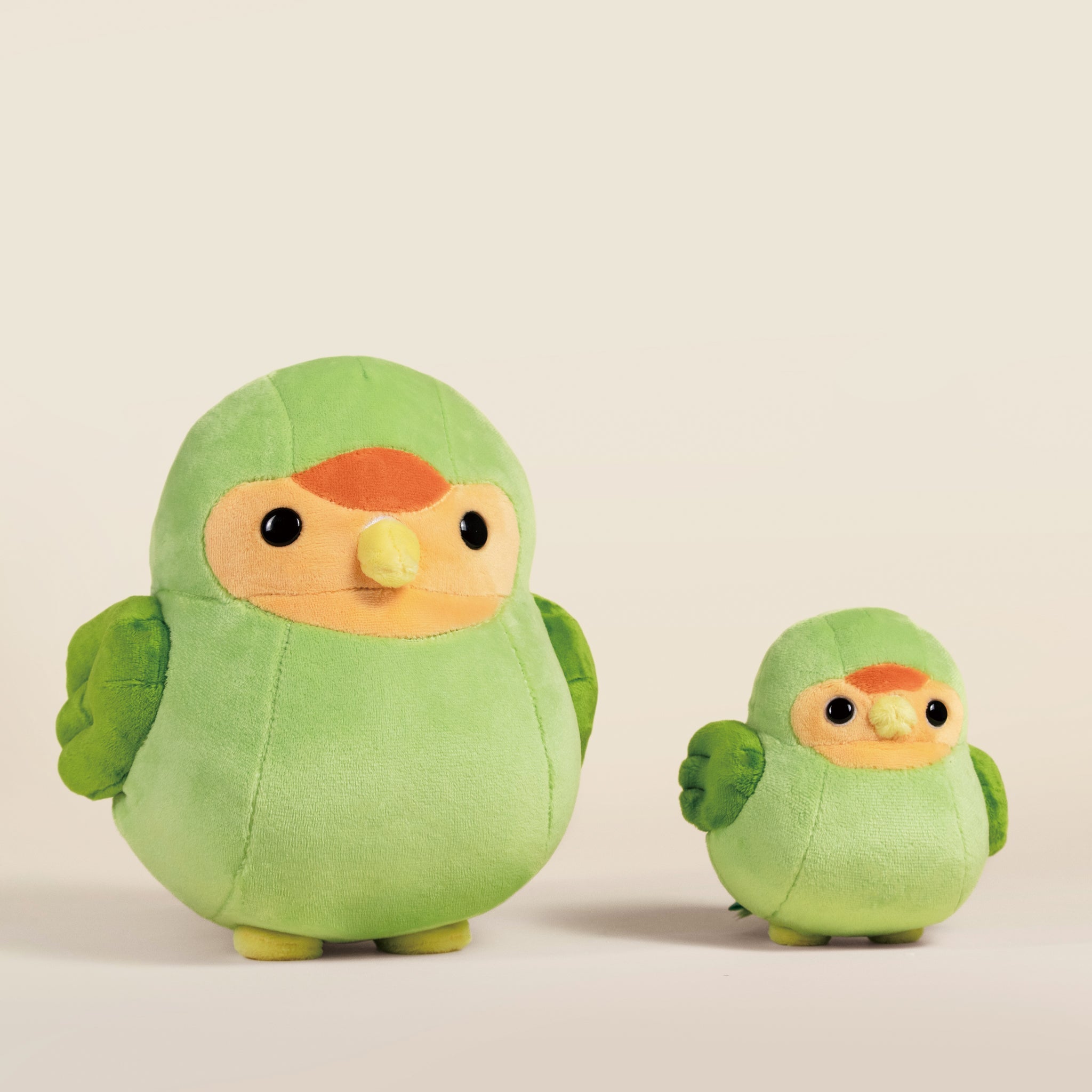 Lovi the Green Lovebird