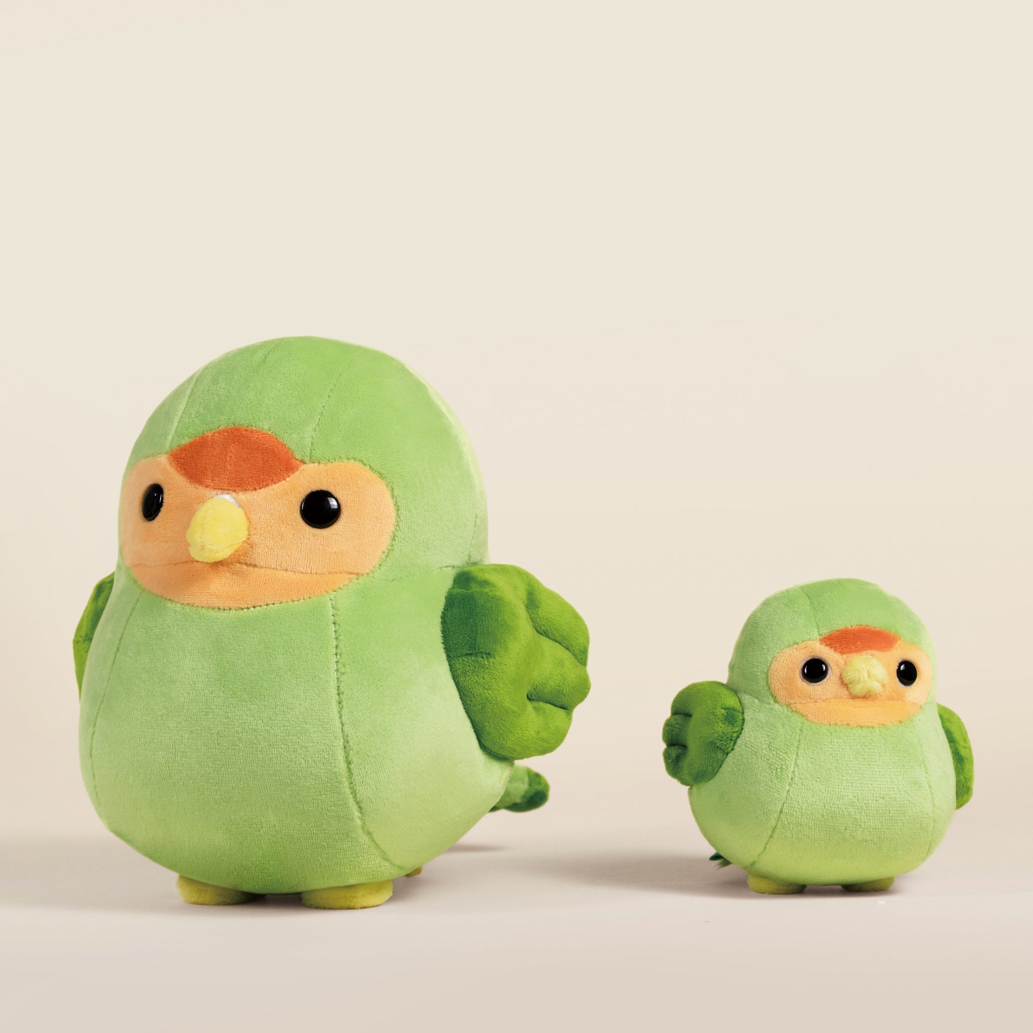 Lovi the Green Lovebird