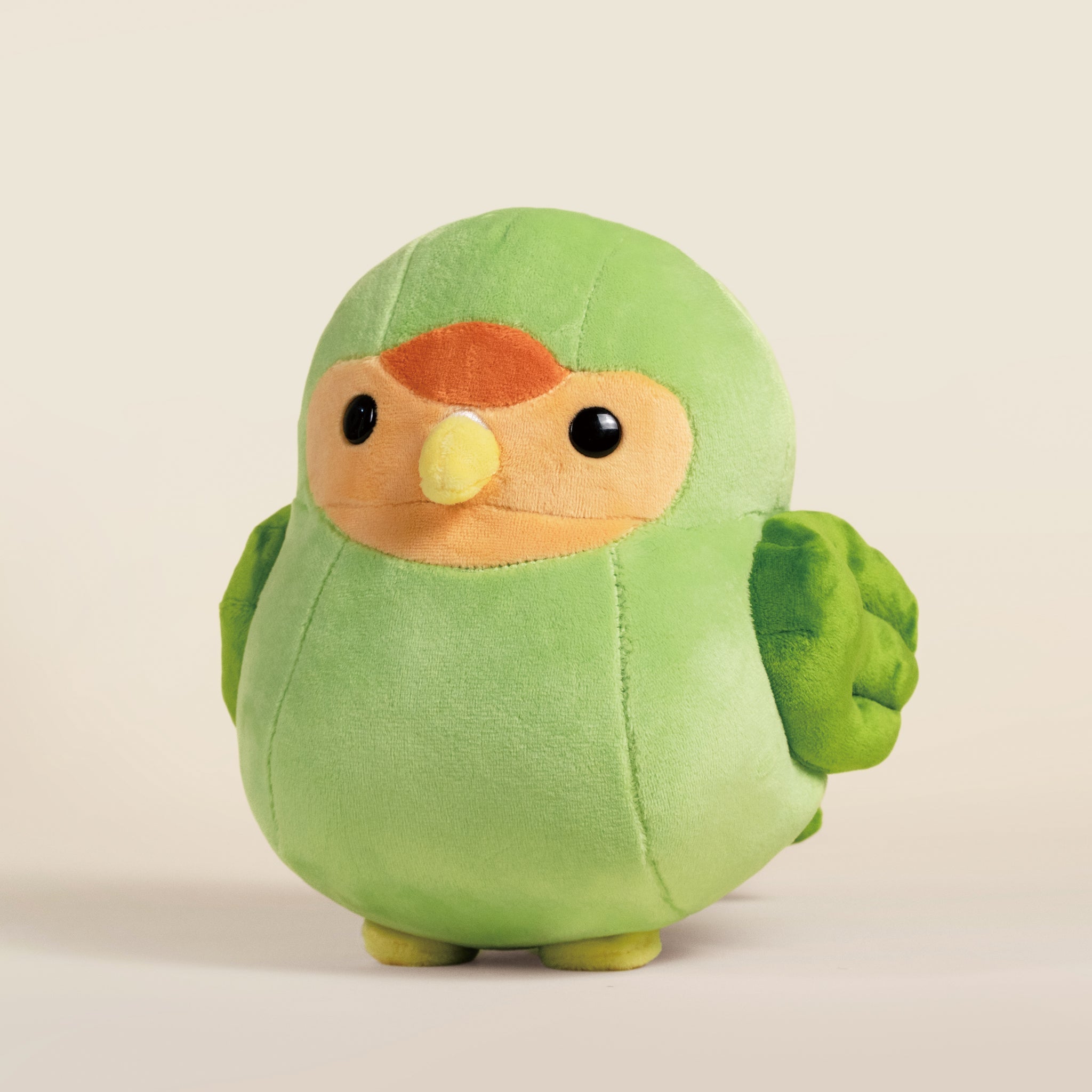 Lovi the Green Lovebird