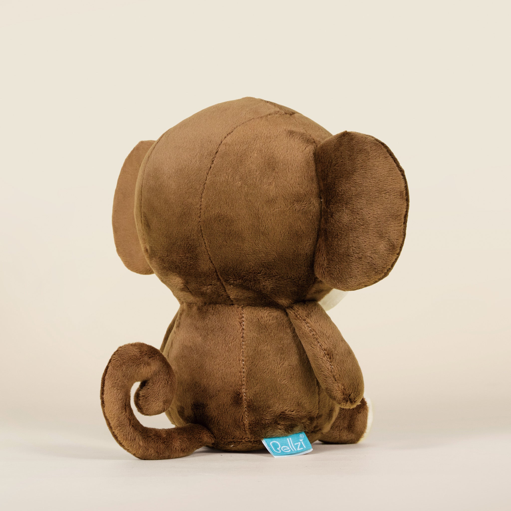 Monki the Monkey