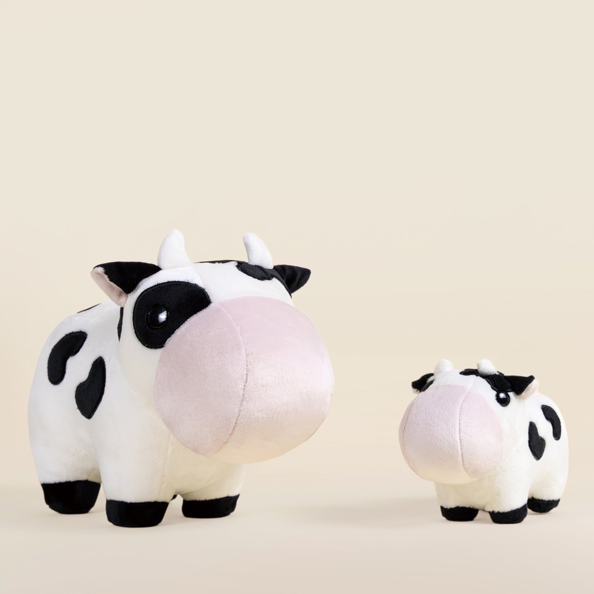 Mooi the Cow