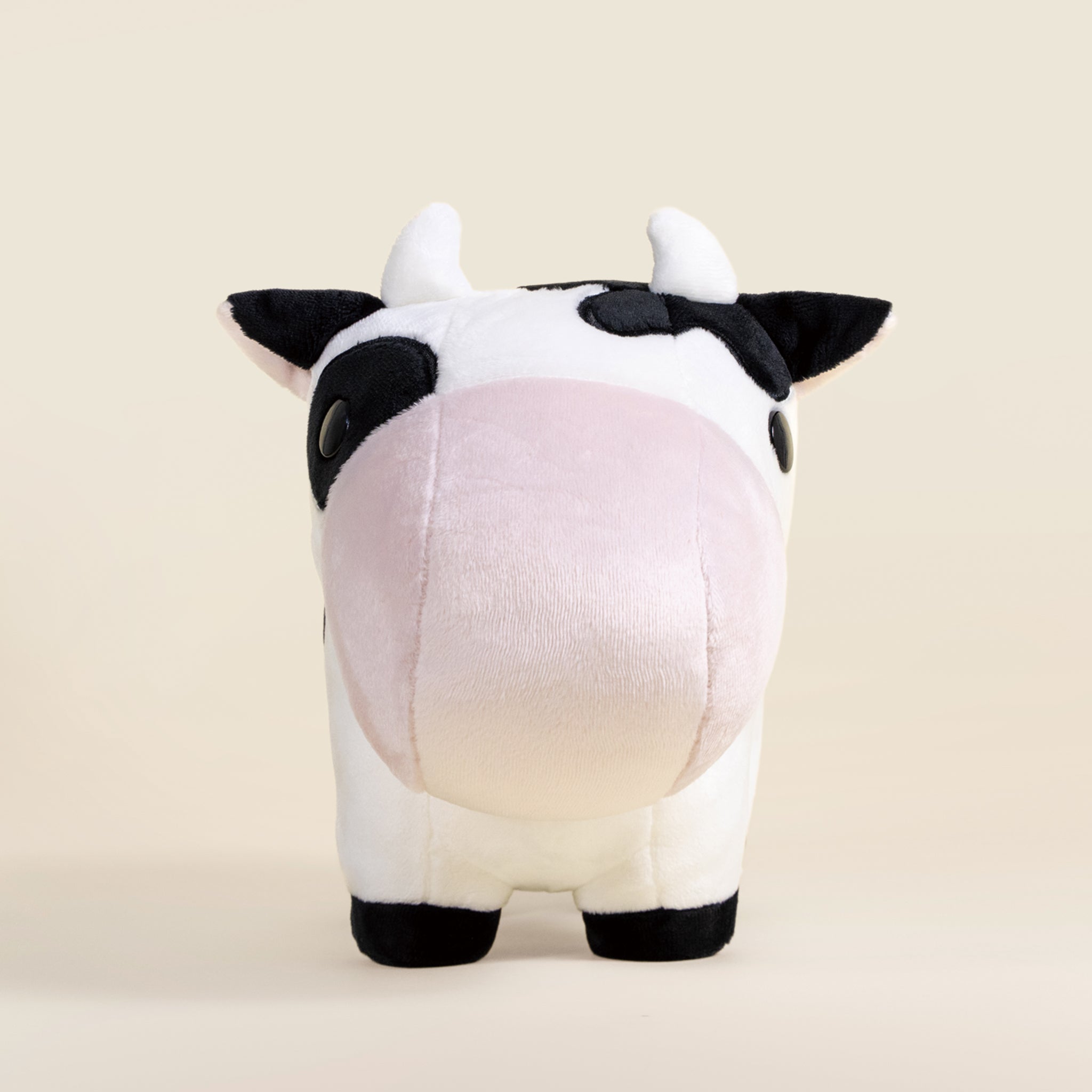 Mooi the Cow