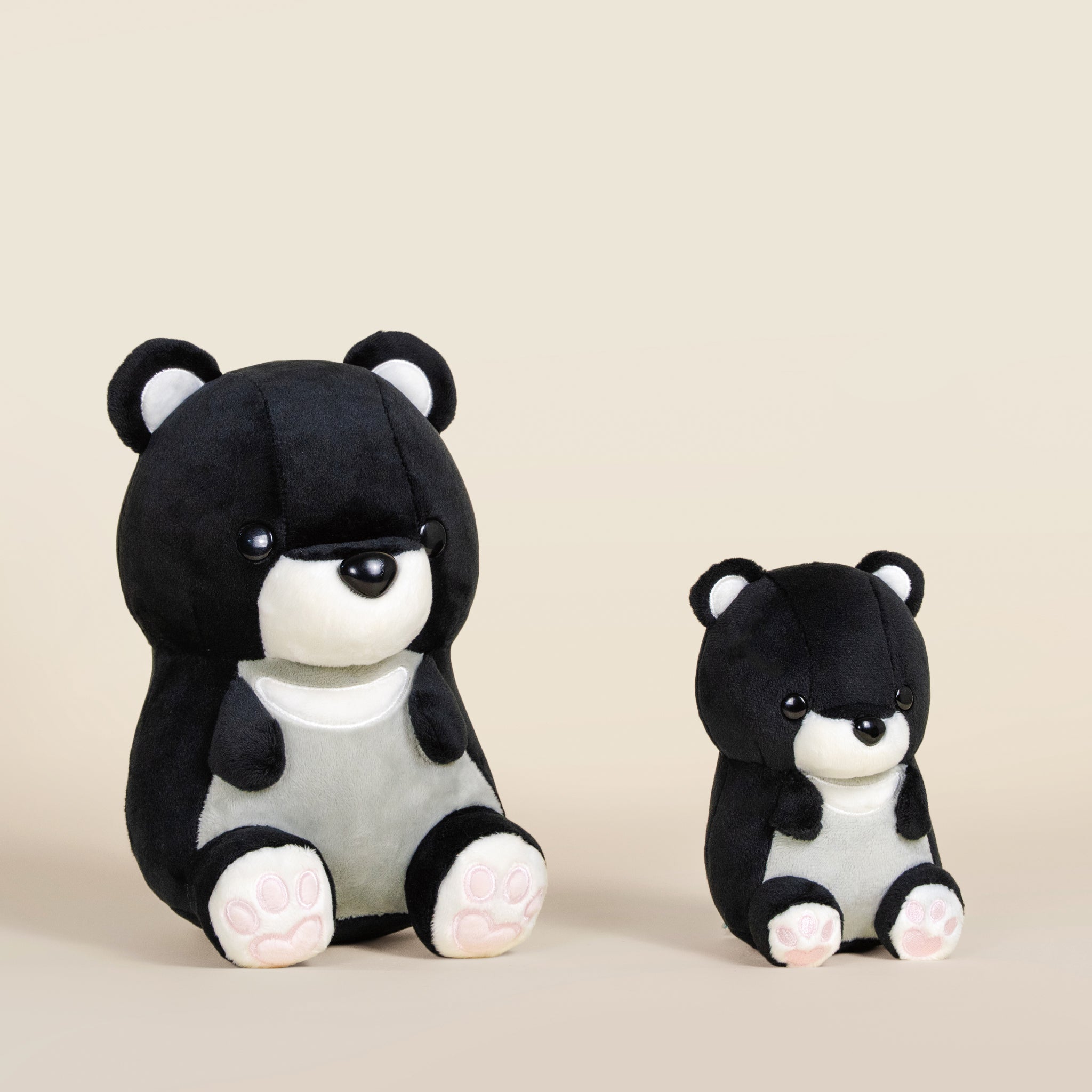 Moonbi the Moon Bear