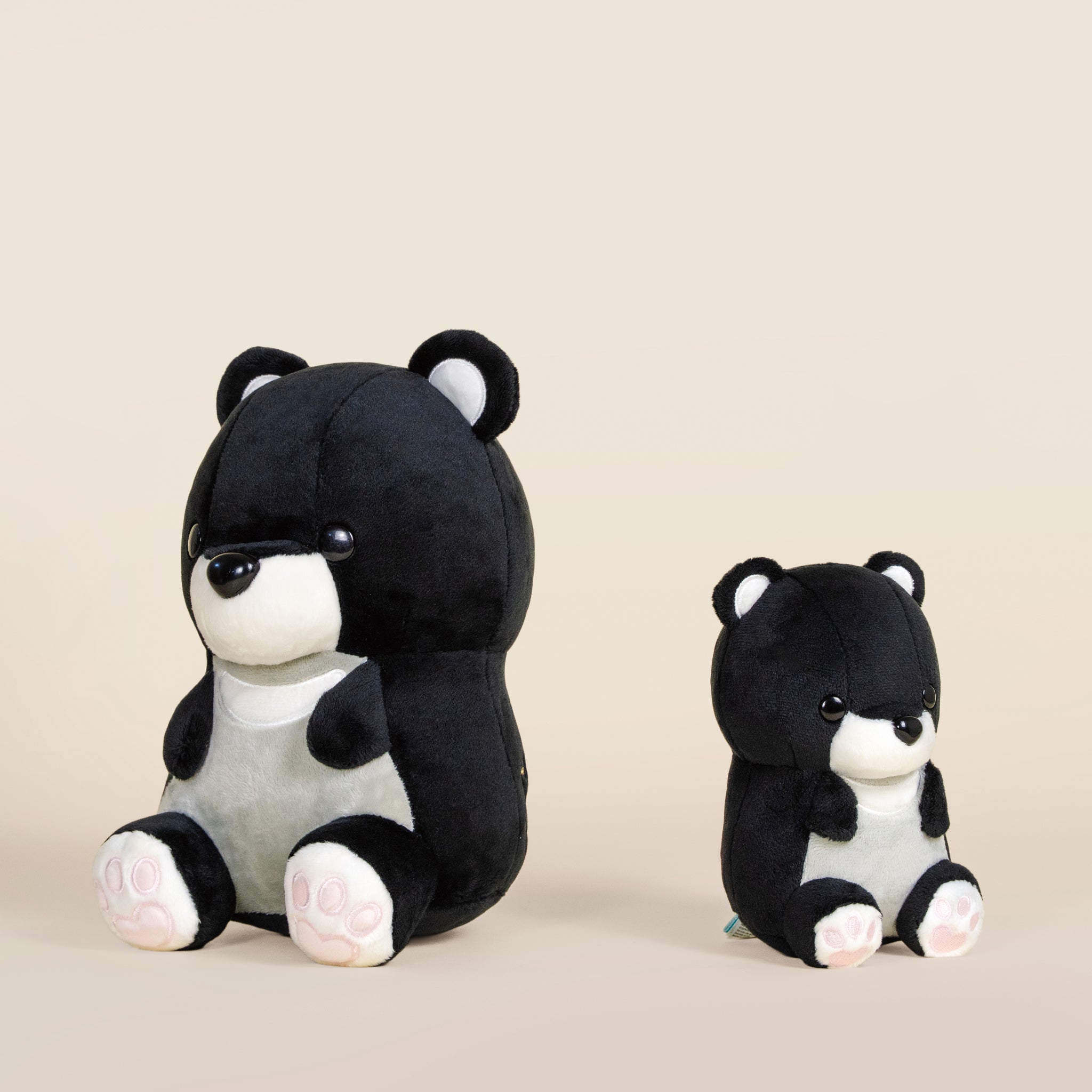 Mini Moonbi the Moon Bear