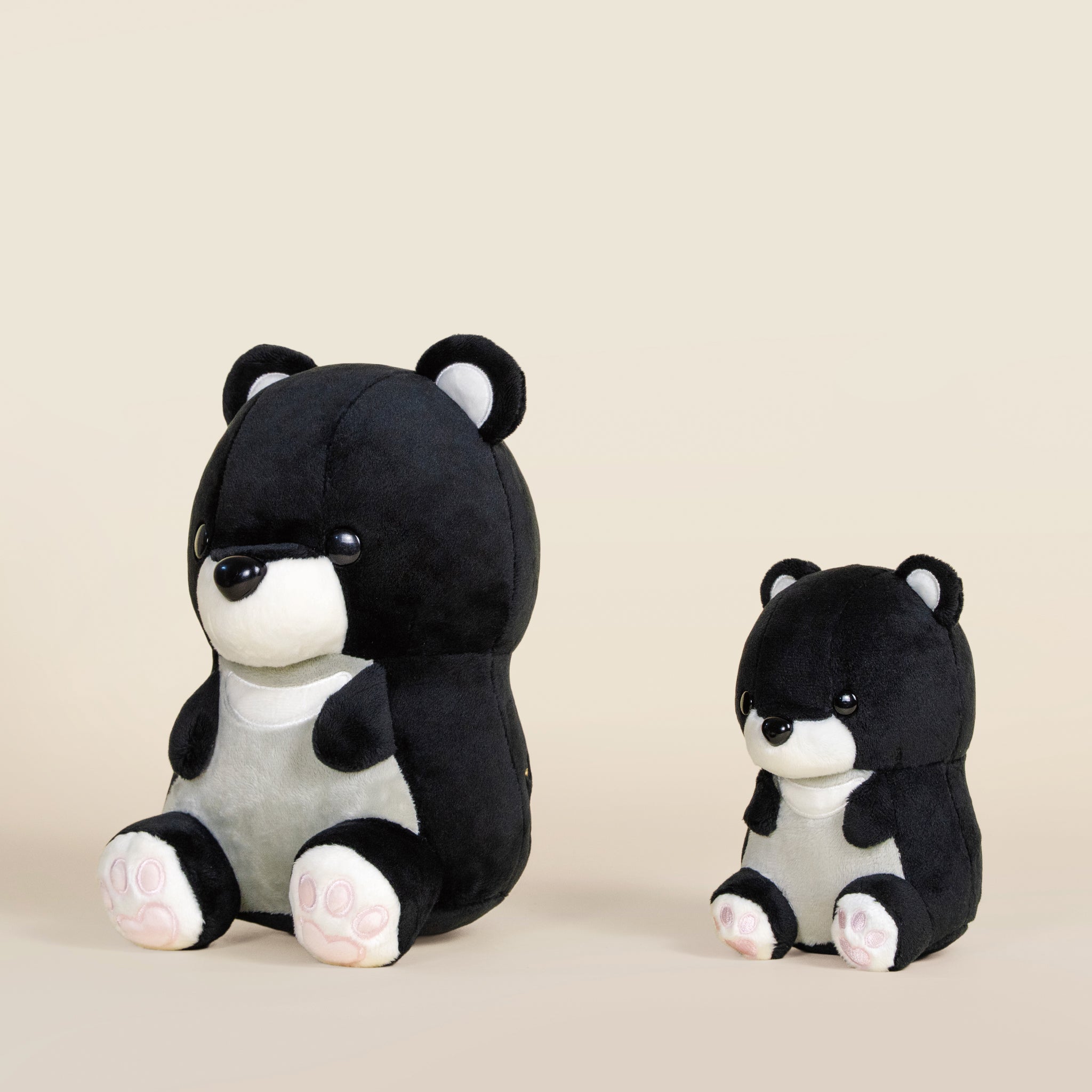 Moonbi the Moon Bear