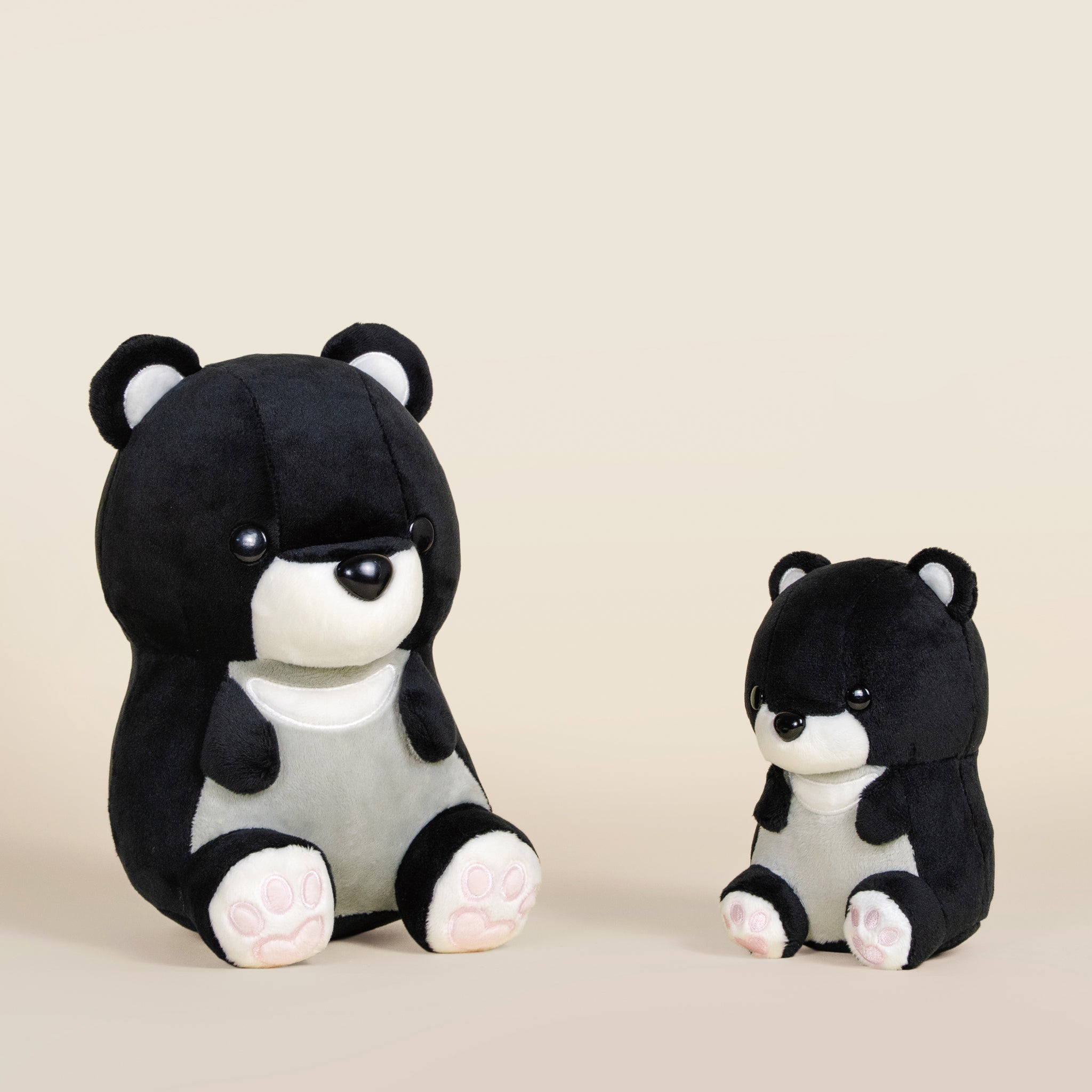 Moonbi the Moon Bear