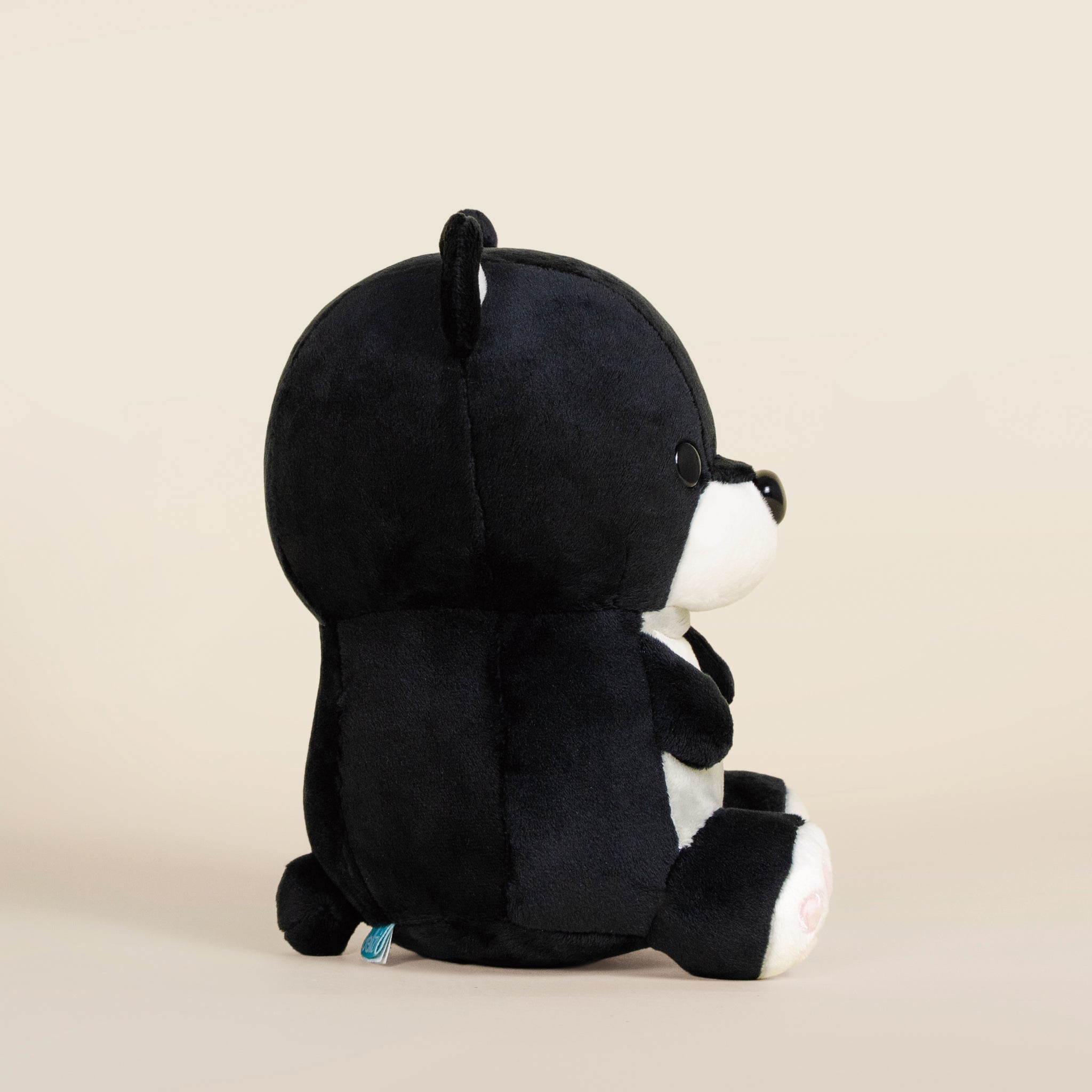 Moonbi the Moon Bear