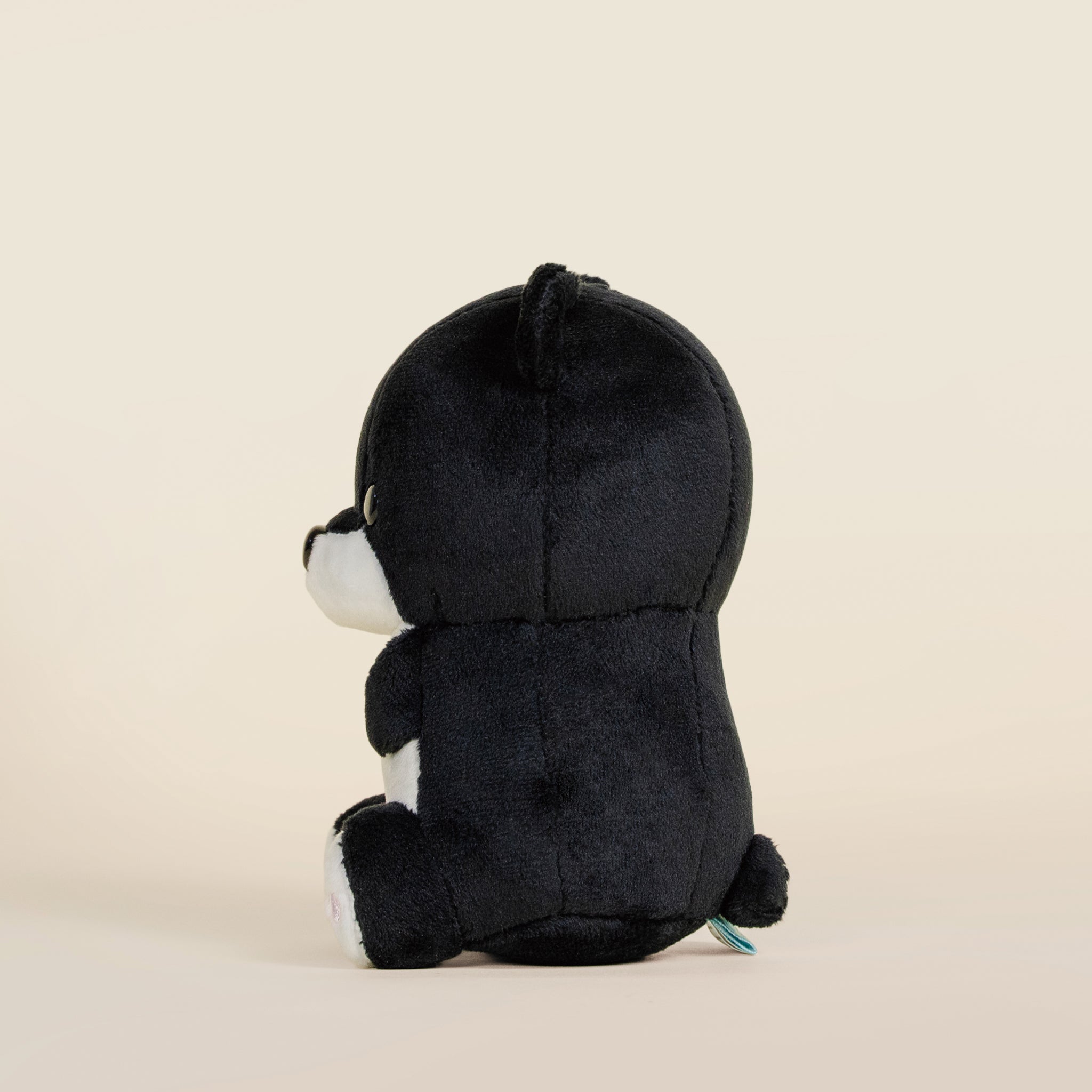 Mini Moonbi the Moon Bear