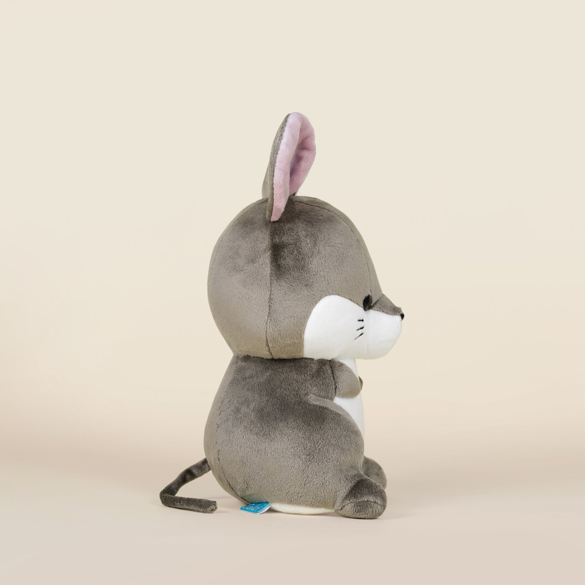 Mousi the Mouse
